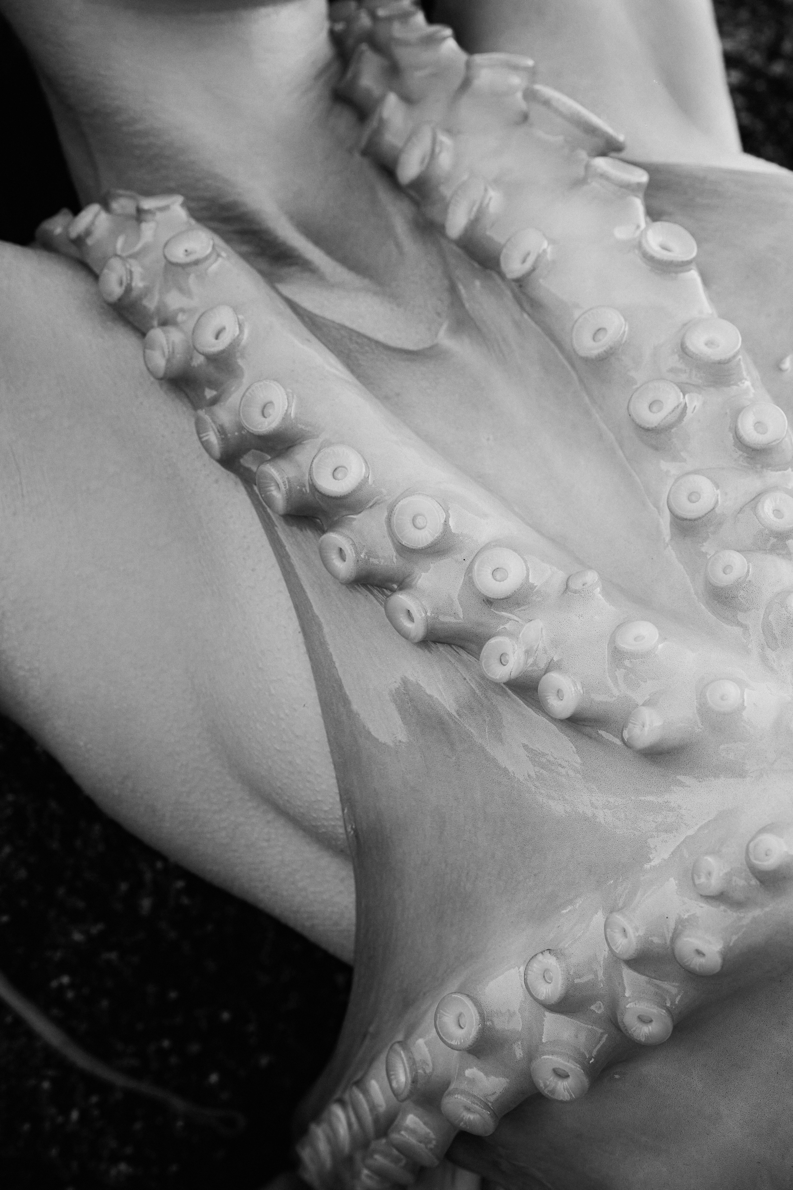 Pulpo. Фотограф в Барселоне Жанна Захарченко