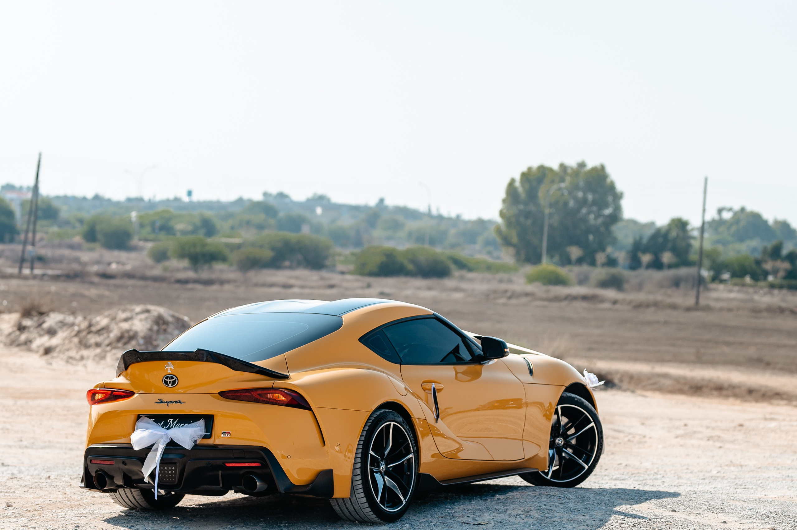 Jessy&Petros. AdrianOltean.wfolio.pro