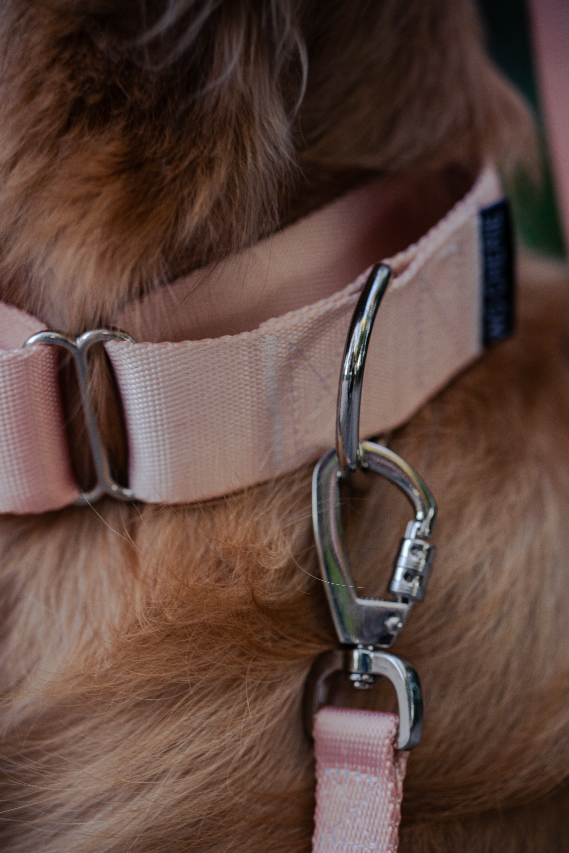 Wo.cherie. Lisbon Event Photographer