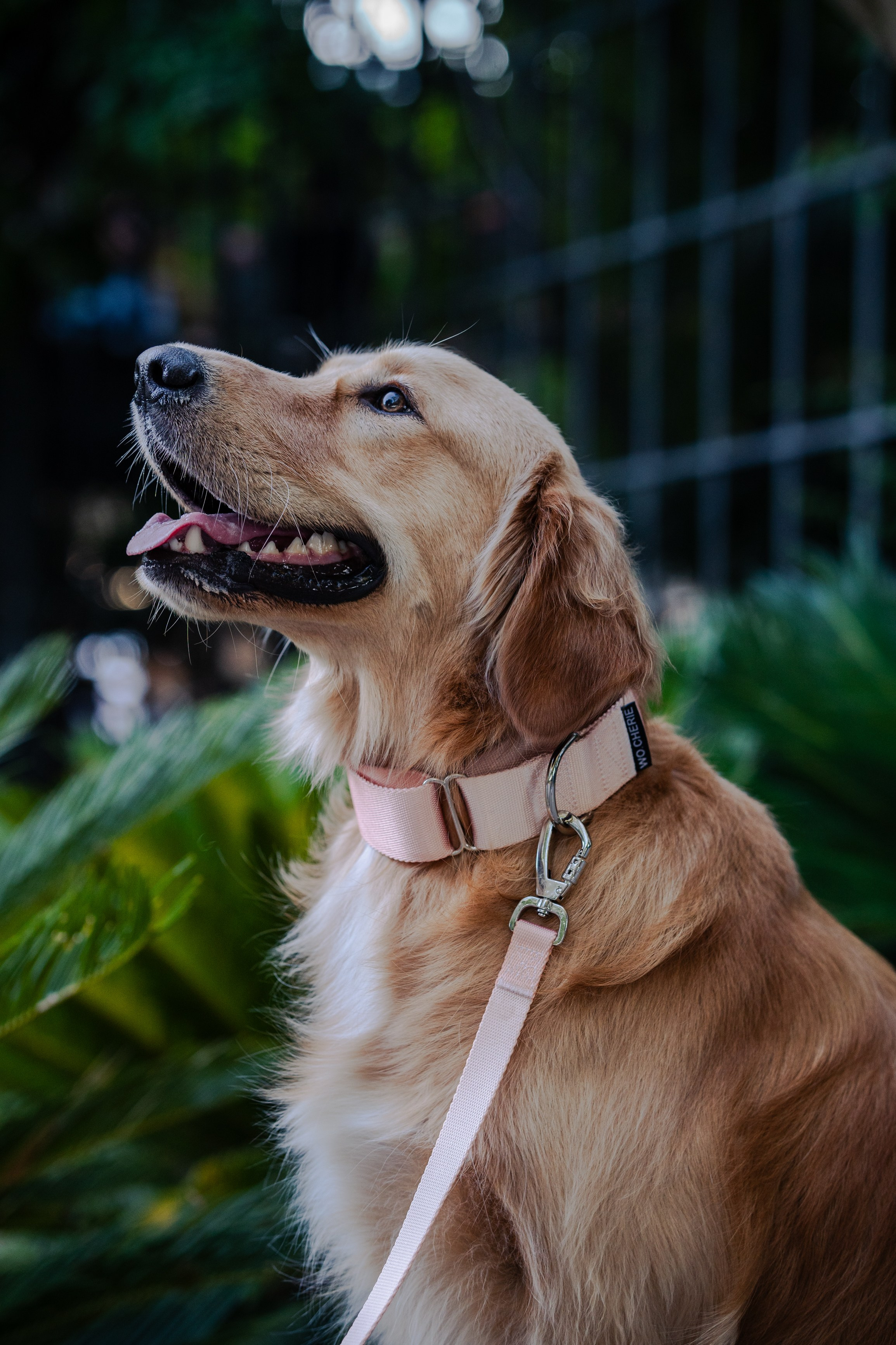 Wo.cherie. Lisbon Event Photographer