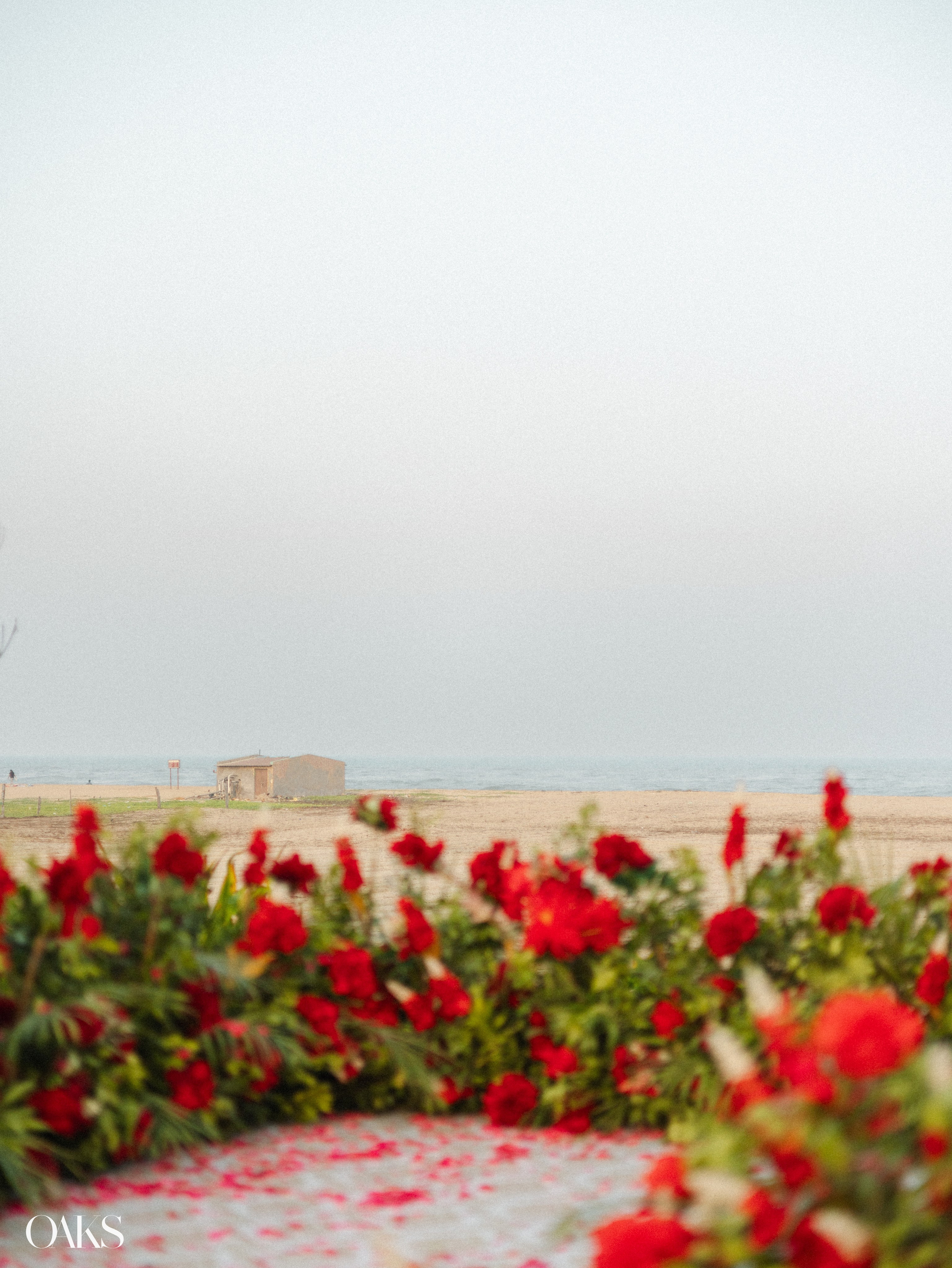 Rahul Pooja. Wedding & Editorial Photographer | Anandshivadas