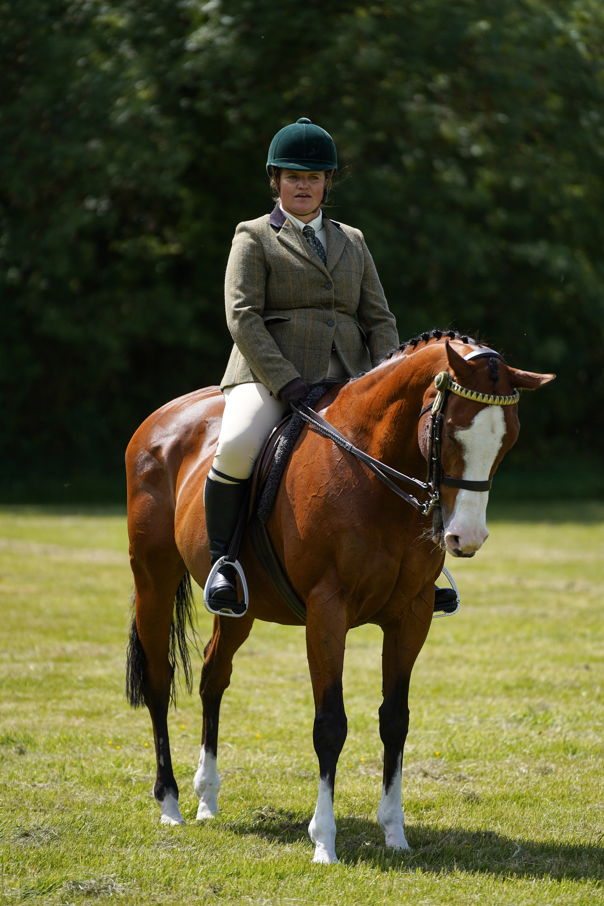 Showing. Leicestershire Equine Photography by El | Authentic Equine Portraits & Events