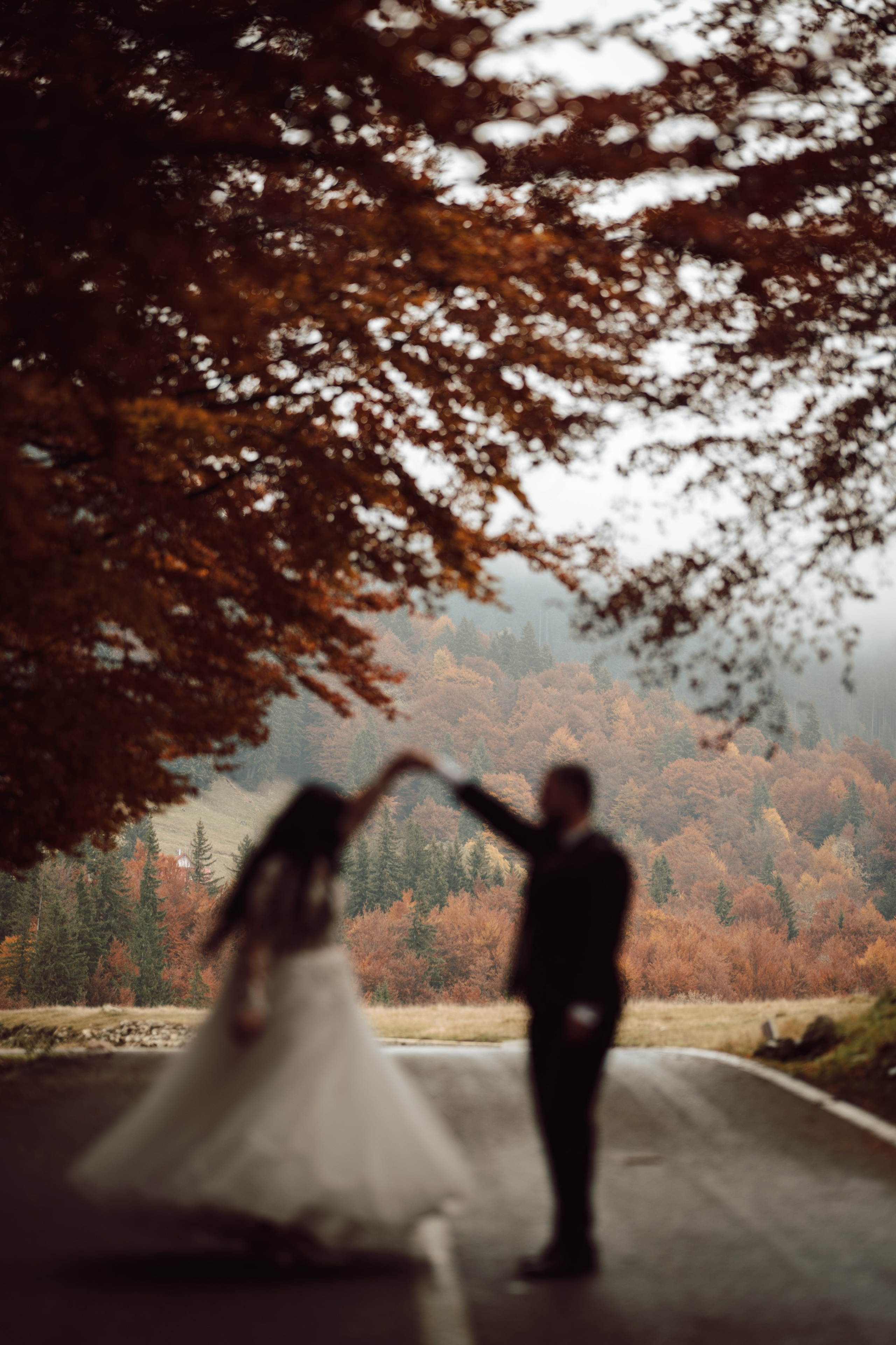 Catalina & Catalin. The Catalins Events — Wedding Photography & Videography