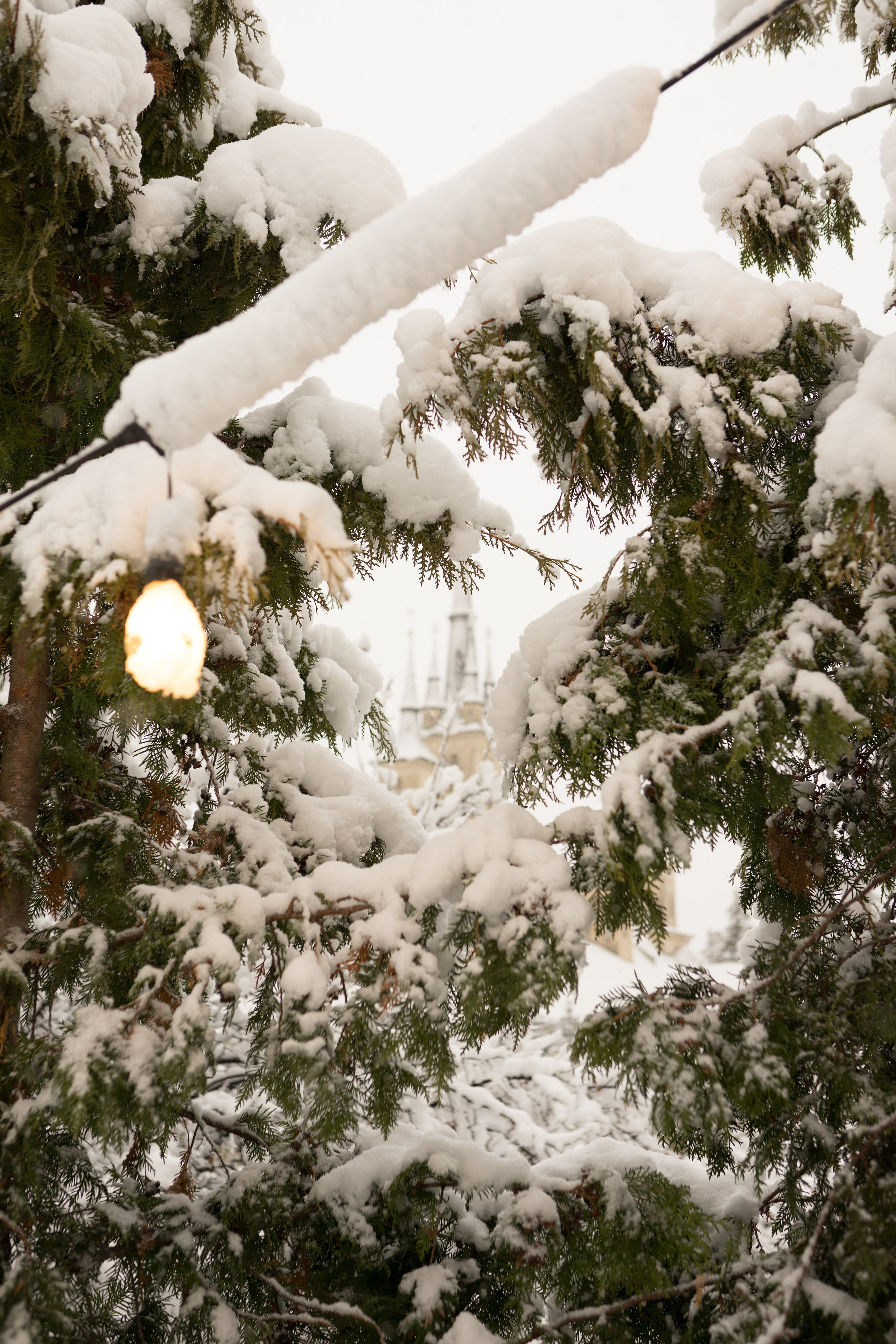 Fotografie de Eveniment Brașov: Povești Vizuale | Mădălina Beda. Madalina Beda- Artist vizual, fotograf, doula la nastere, consultant babywearing Brasov si in toata tara