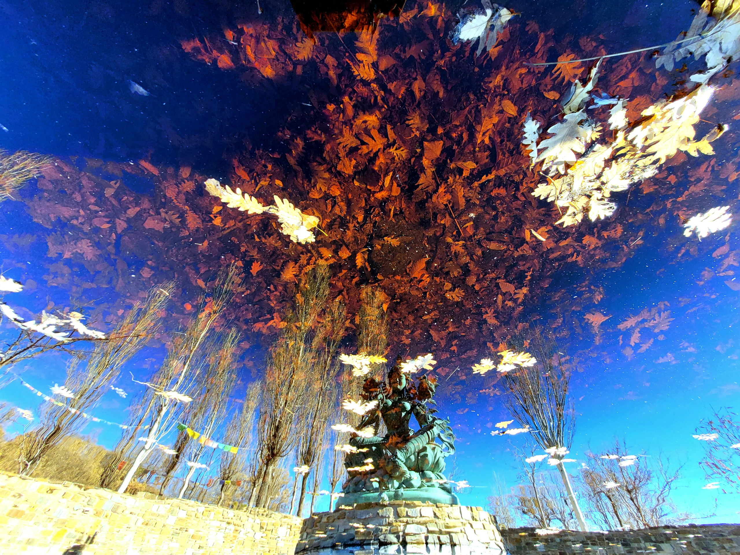 Bocetos. Alba del Norte Studio