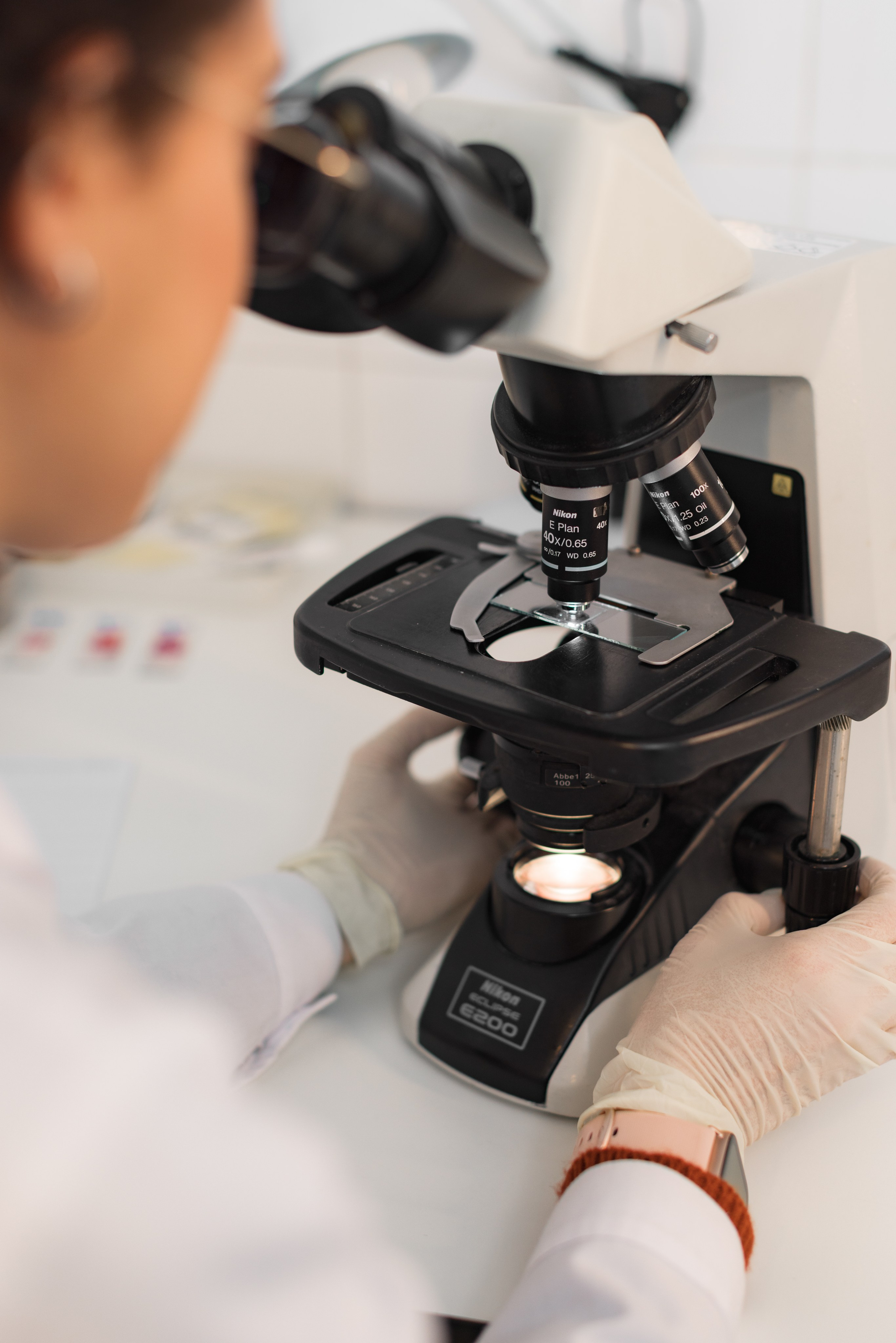 LABORATORIO. ESTUDIO DOZE