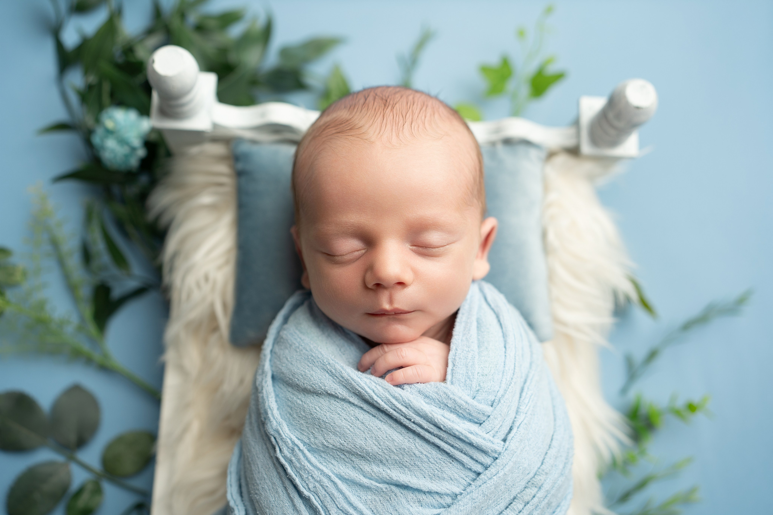 Posed Newborn. Maternity, family and newborn photography in San Francisco Bay Area