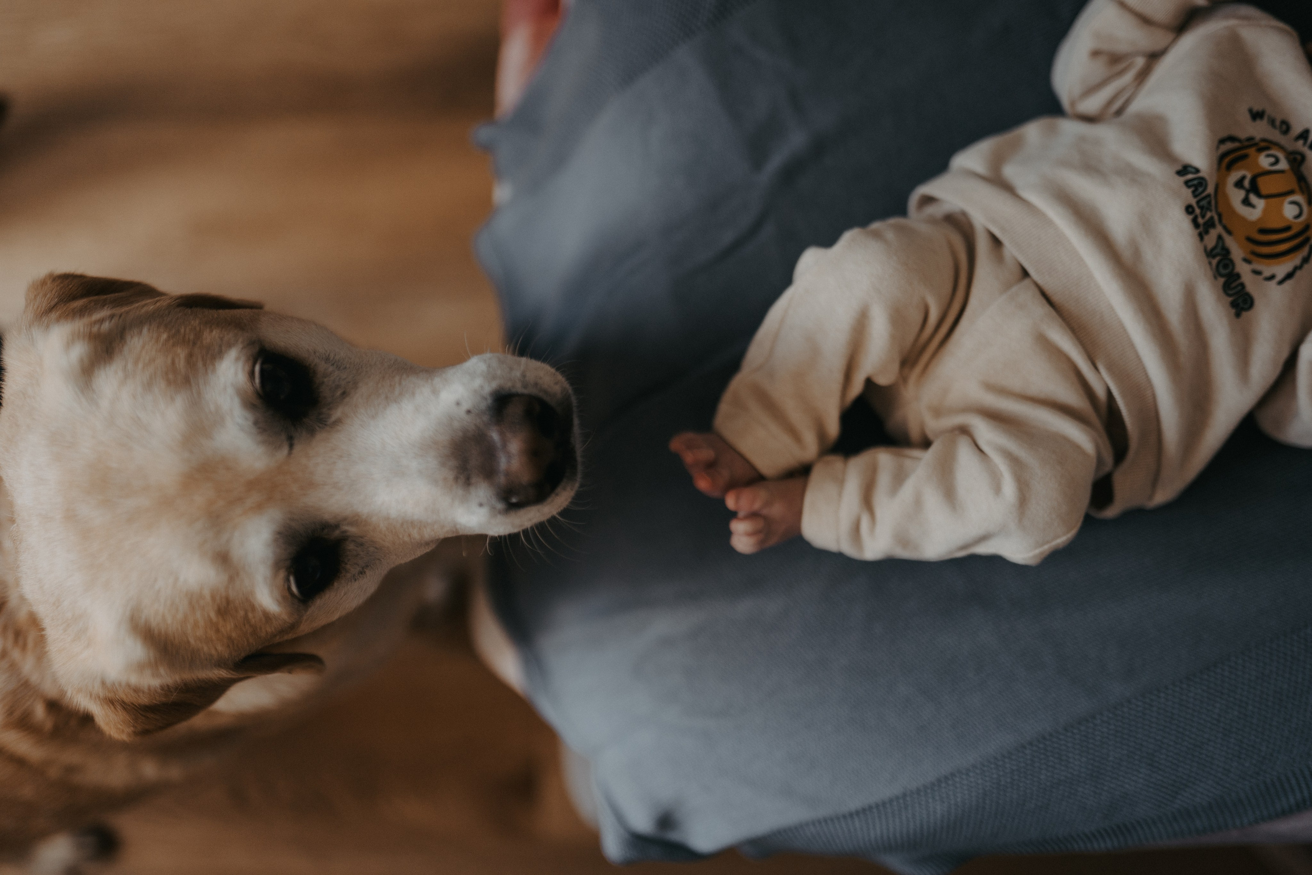 Foto neonato con genitori in stile naturale a Varese