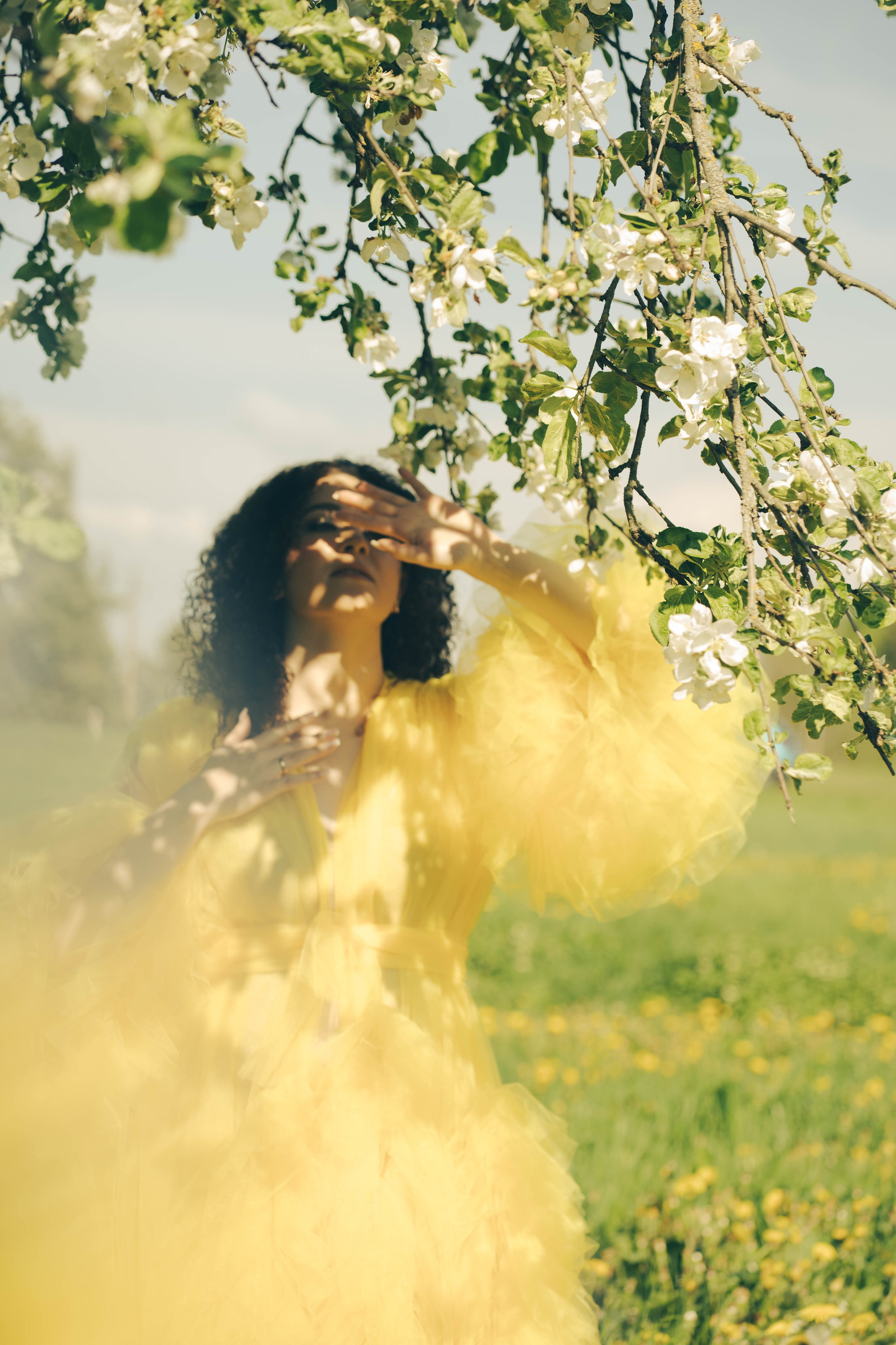 Žydinčios obelys — Viktorija. Fotografija — Olga Bojarin