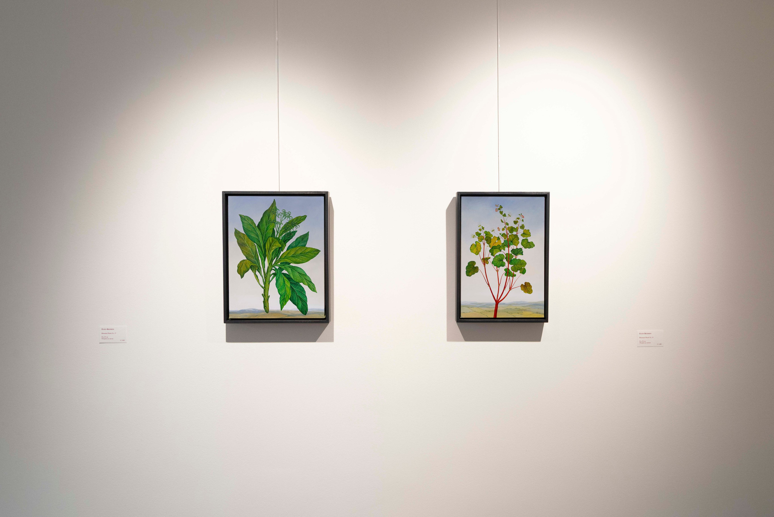 Botanica Humana. Solo Exhibition at MLVA Art Gallery. ELEN BEZHEN