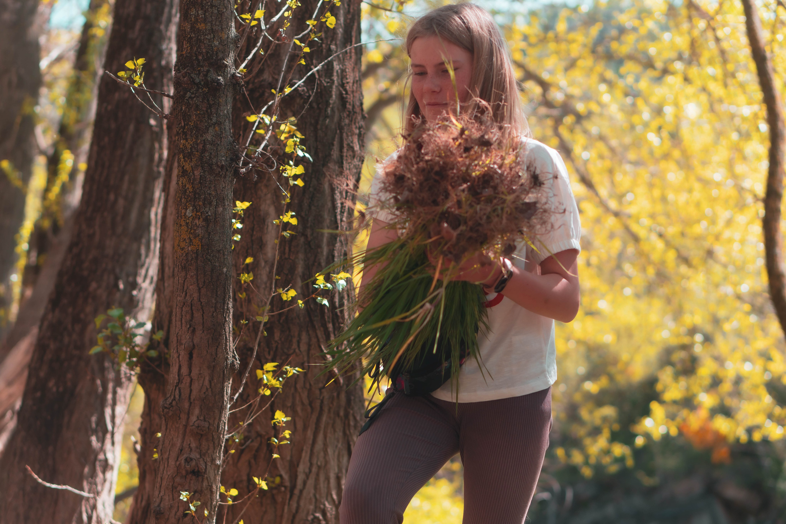 Noa&Agnia. Alba del Norte Studio