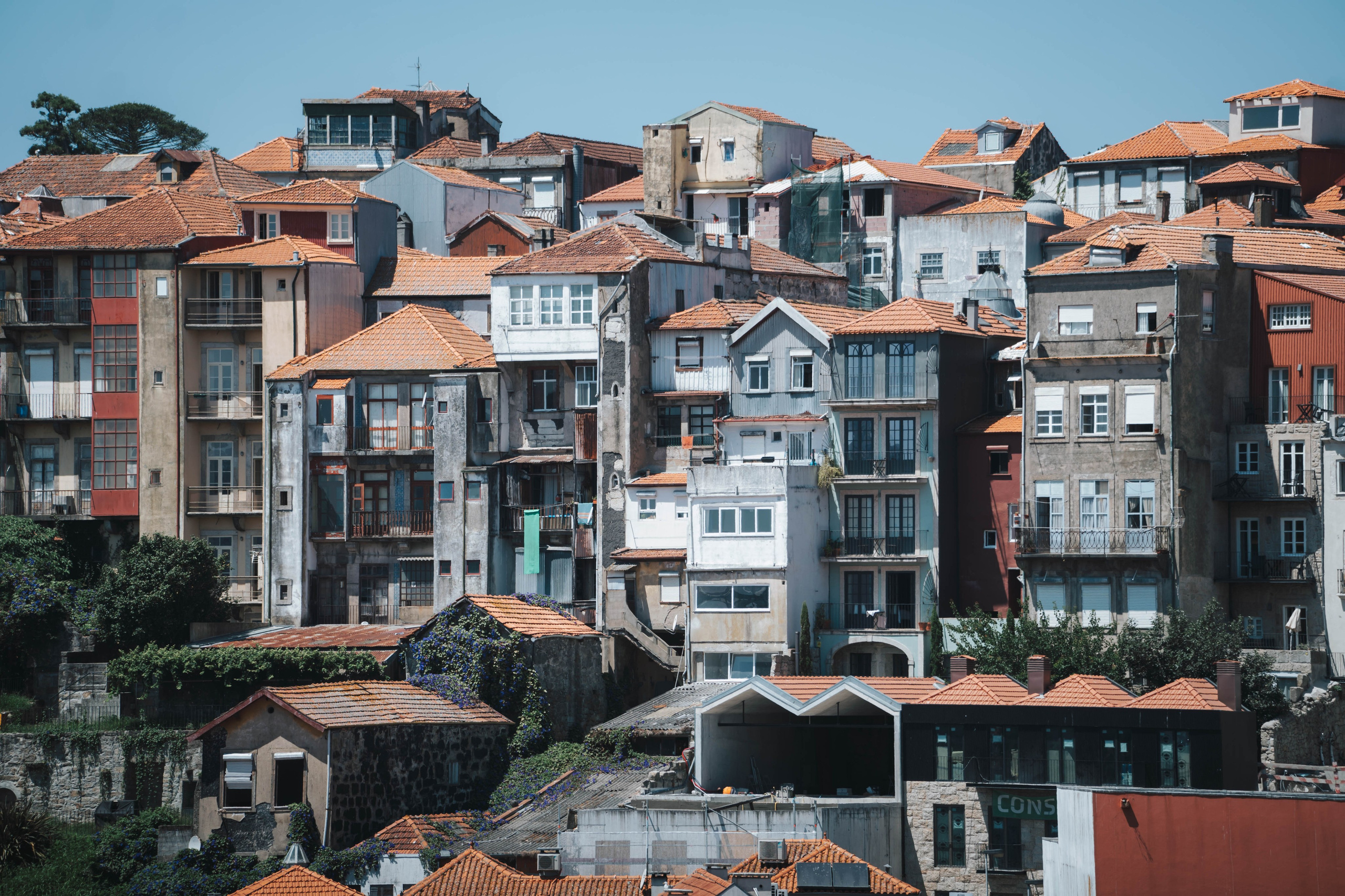 Porto, Agosto 2024. Alba del Norte Studio