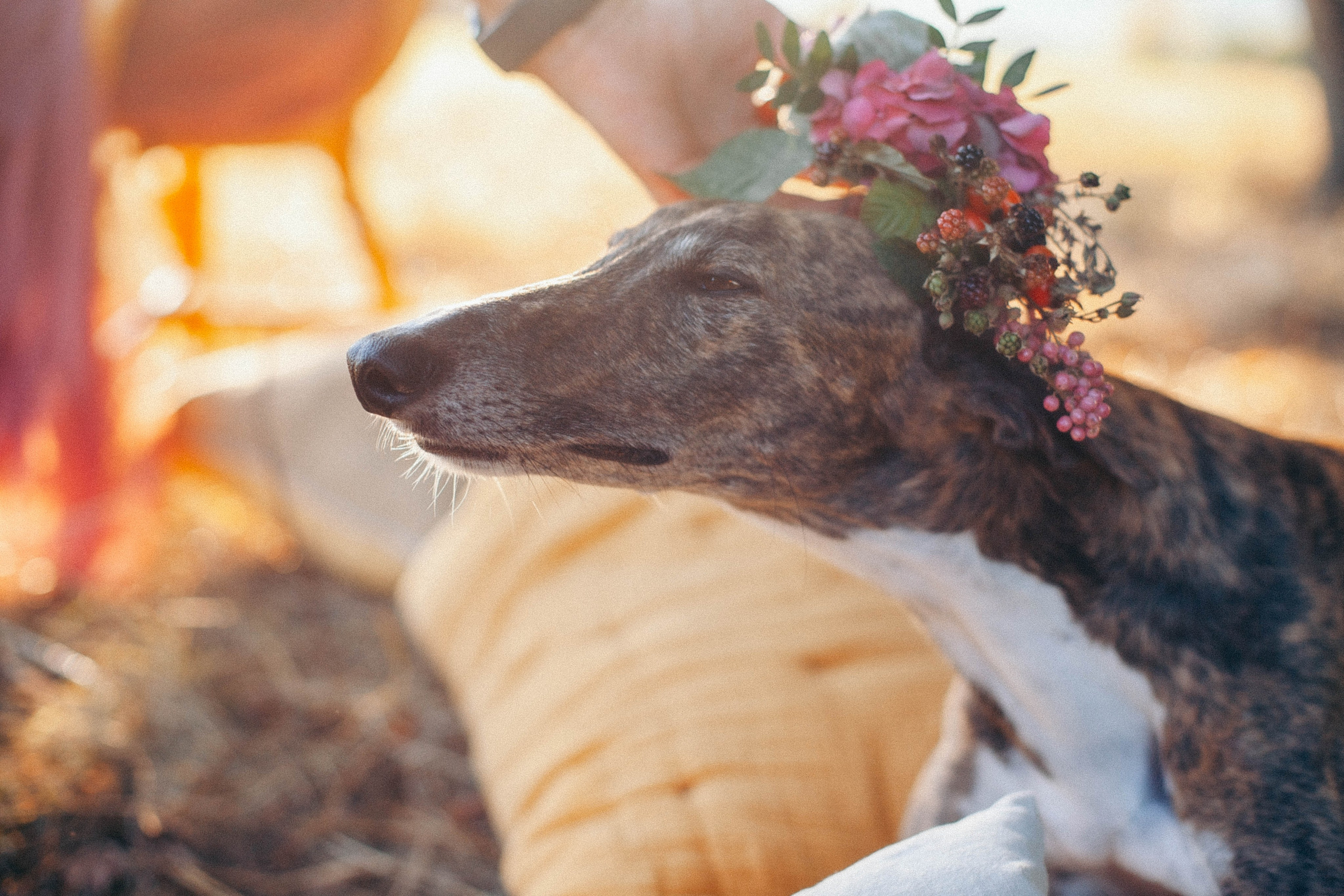 Salome + Ruben. GoldenHourStory