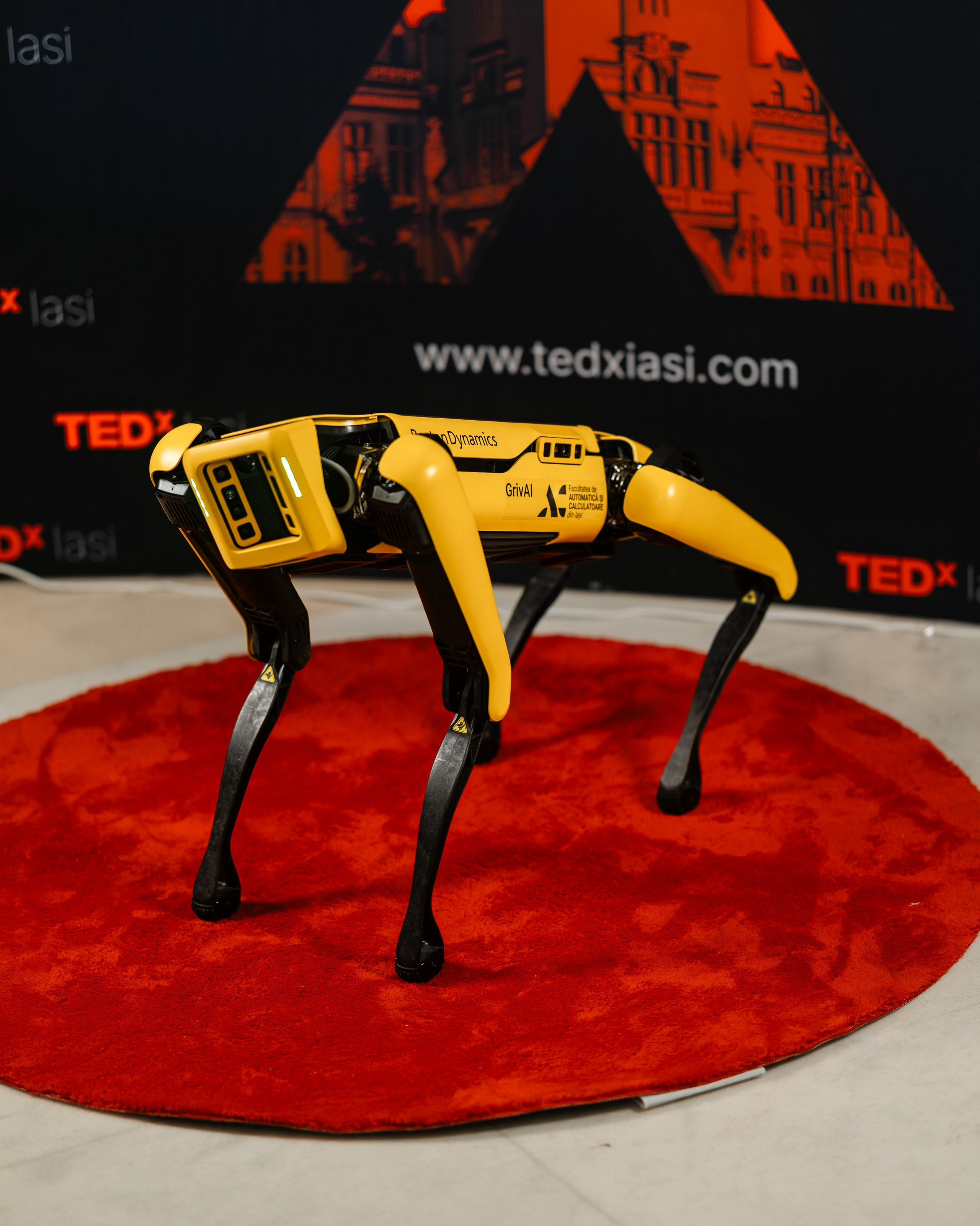 TedX Iași. Marius Ciocan