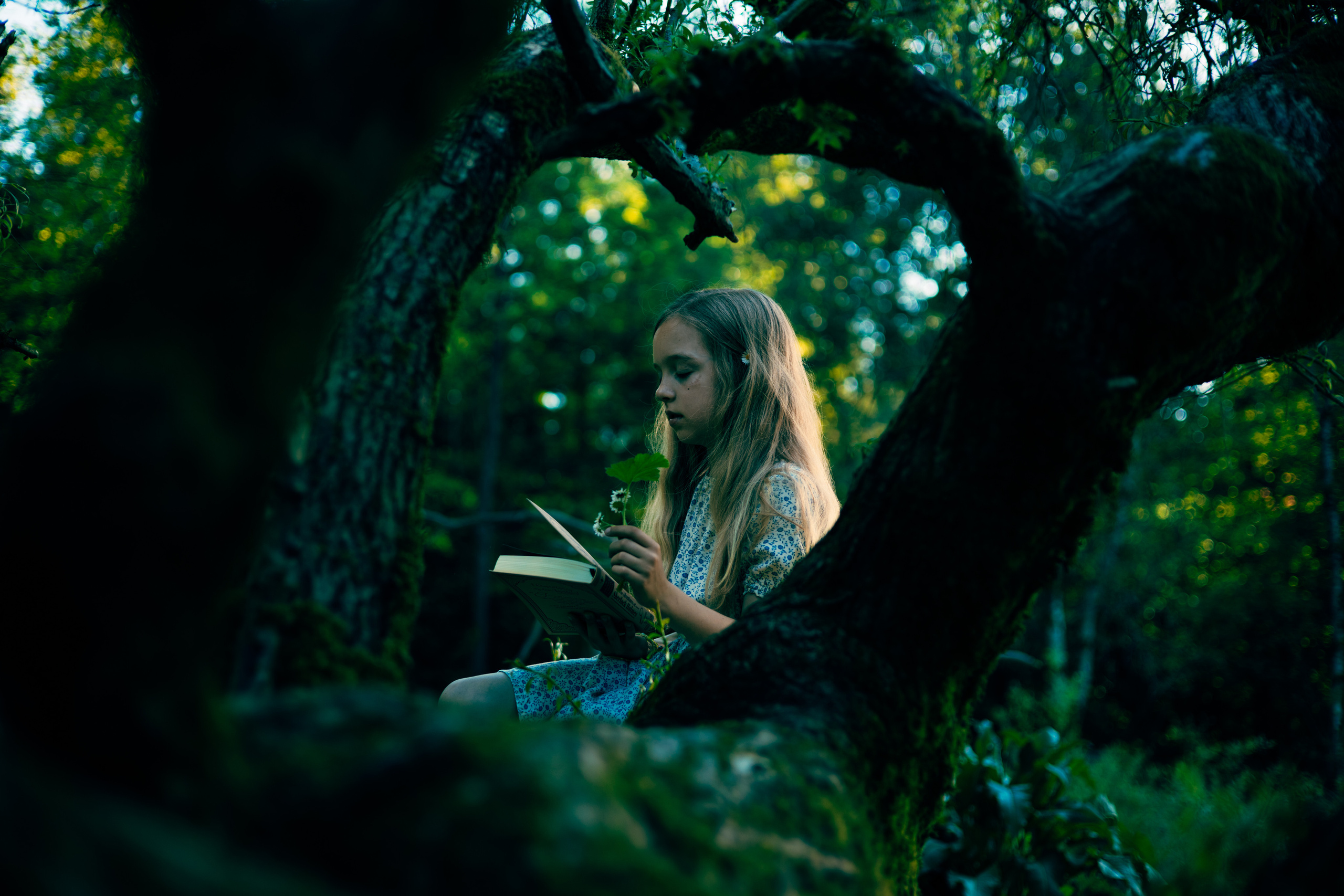 Thematic children’s photo shoot in the park. Yana Bobrova | Artistic Photography