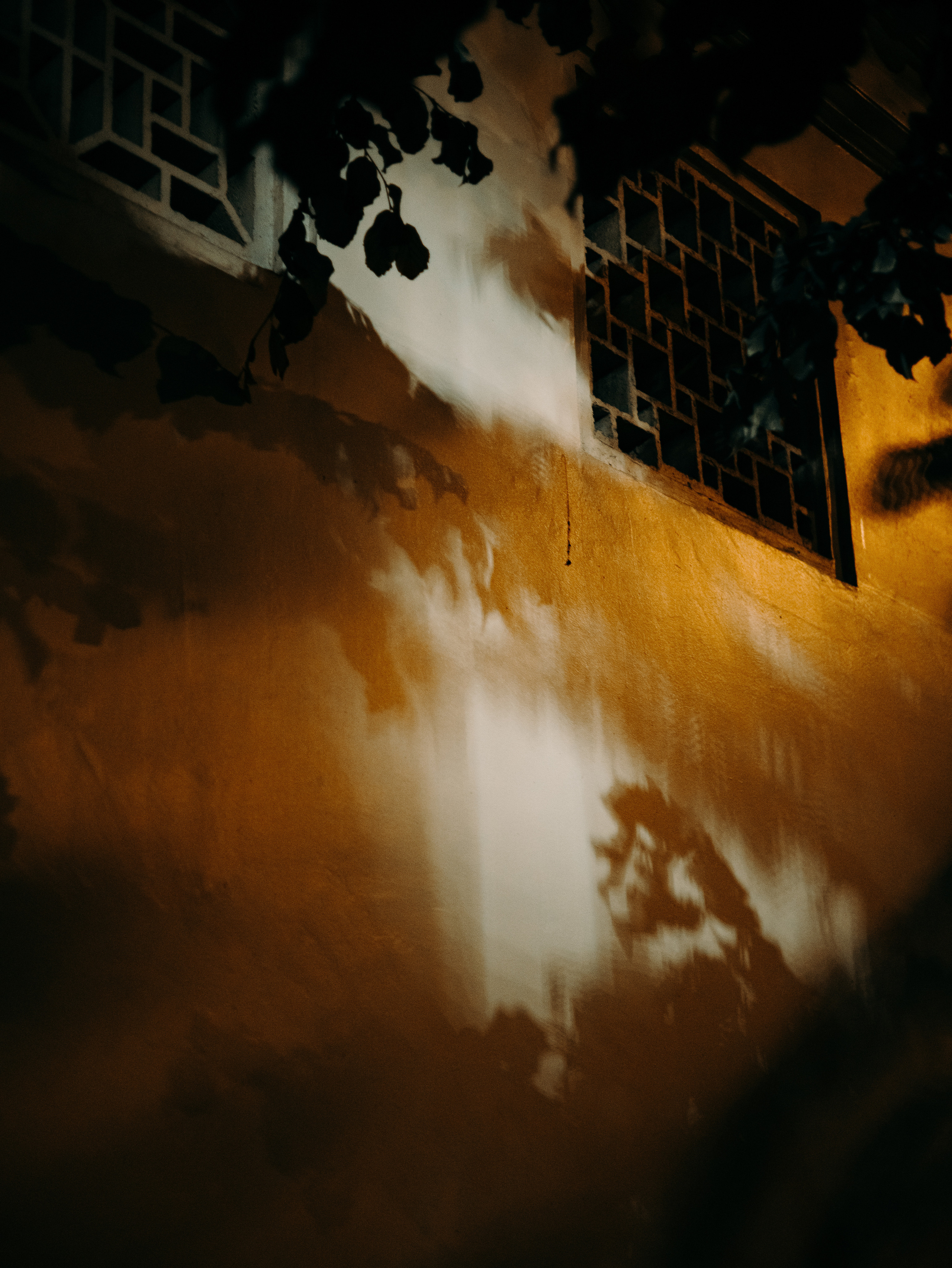 Individual cinematic photo session. Yana Bobrova | Artistic Photography