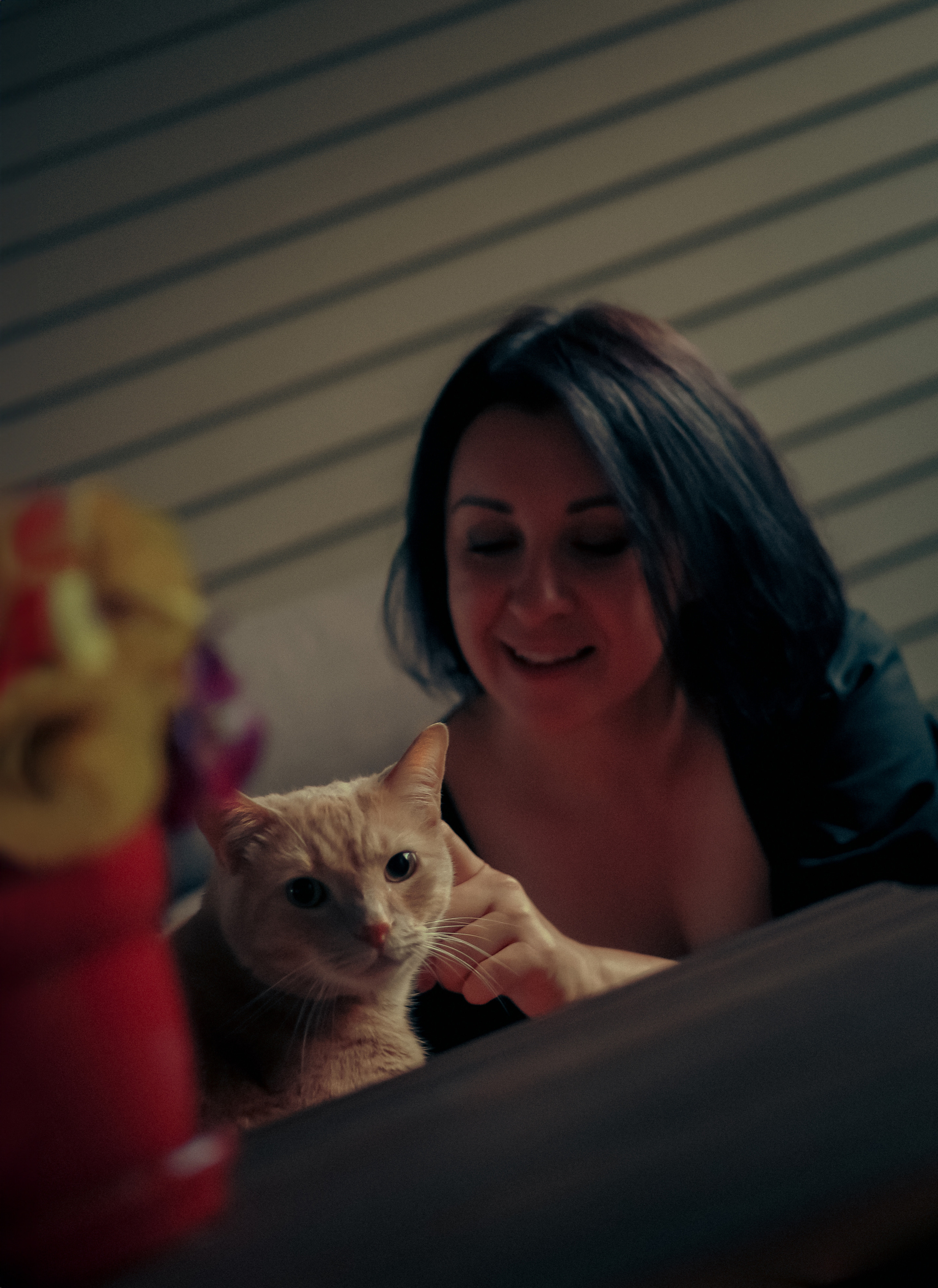 Individual photo session with a pet. Yana Bobrova | Artistic Photography