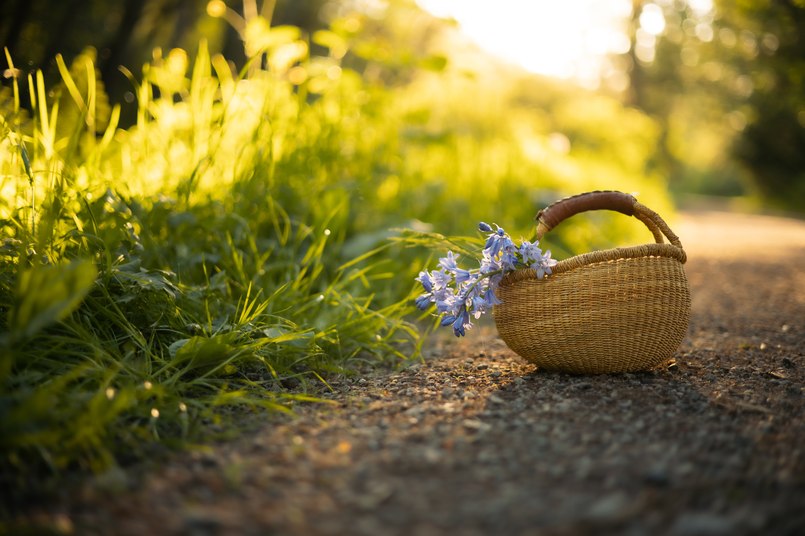 Irene & Golden Hour Magic. Yana Bobrova | Artistic Photography