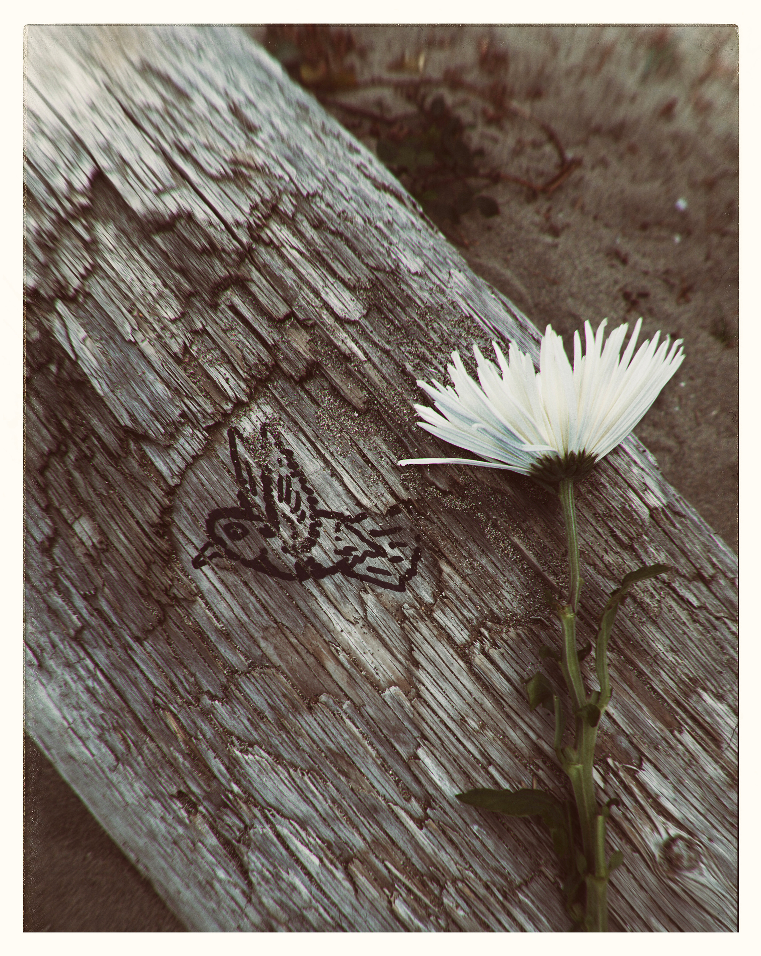 Michael. Yana Bobrova | Artistic Photography