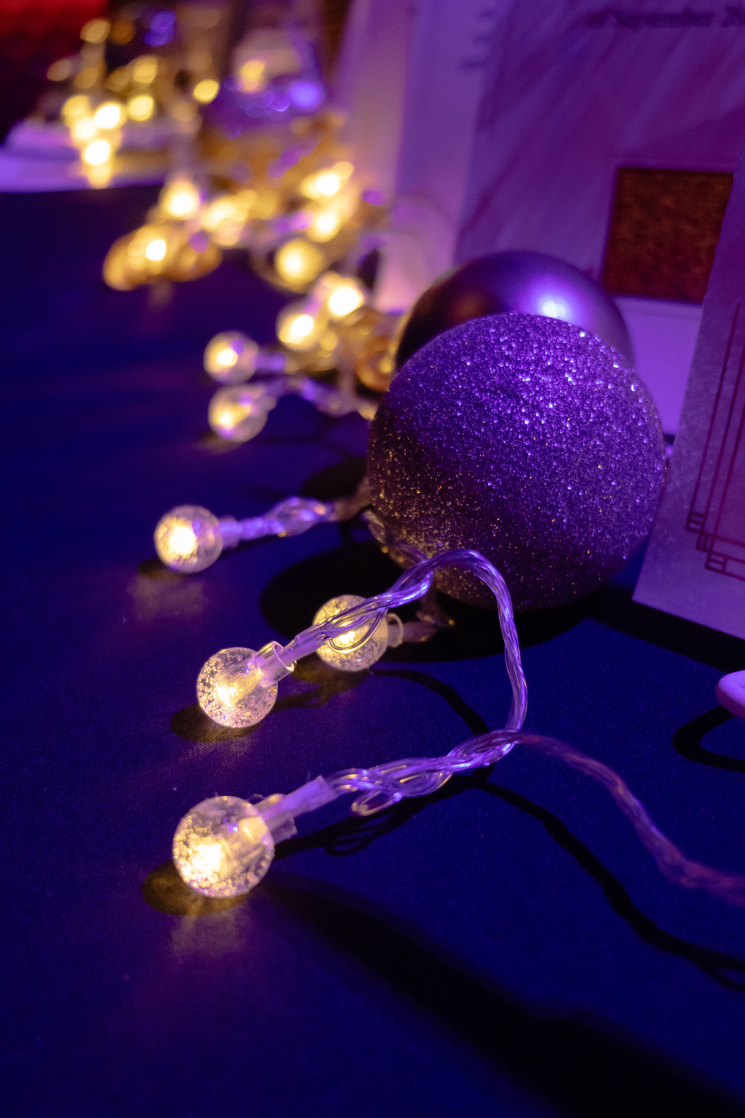 West Side Family Place — 50th Anniversary, Reportage. Yana Bobrova | Artistic Photography