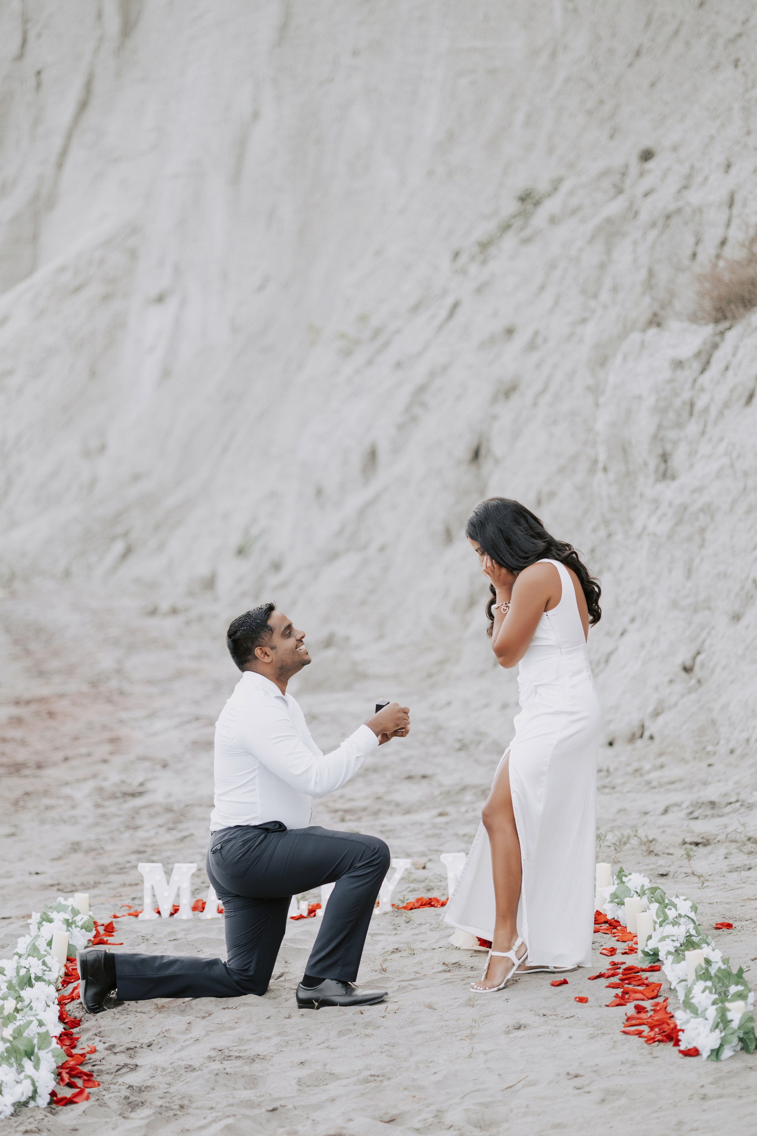 Proposal Scarborough Bluffs. Chernenko.photography