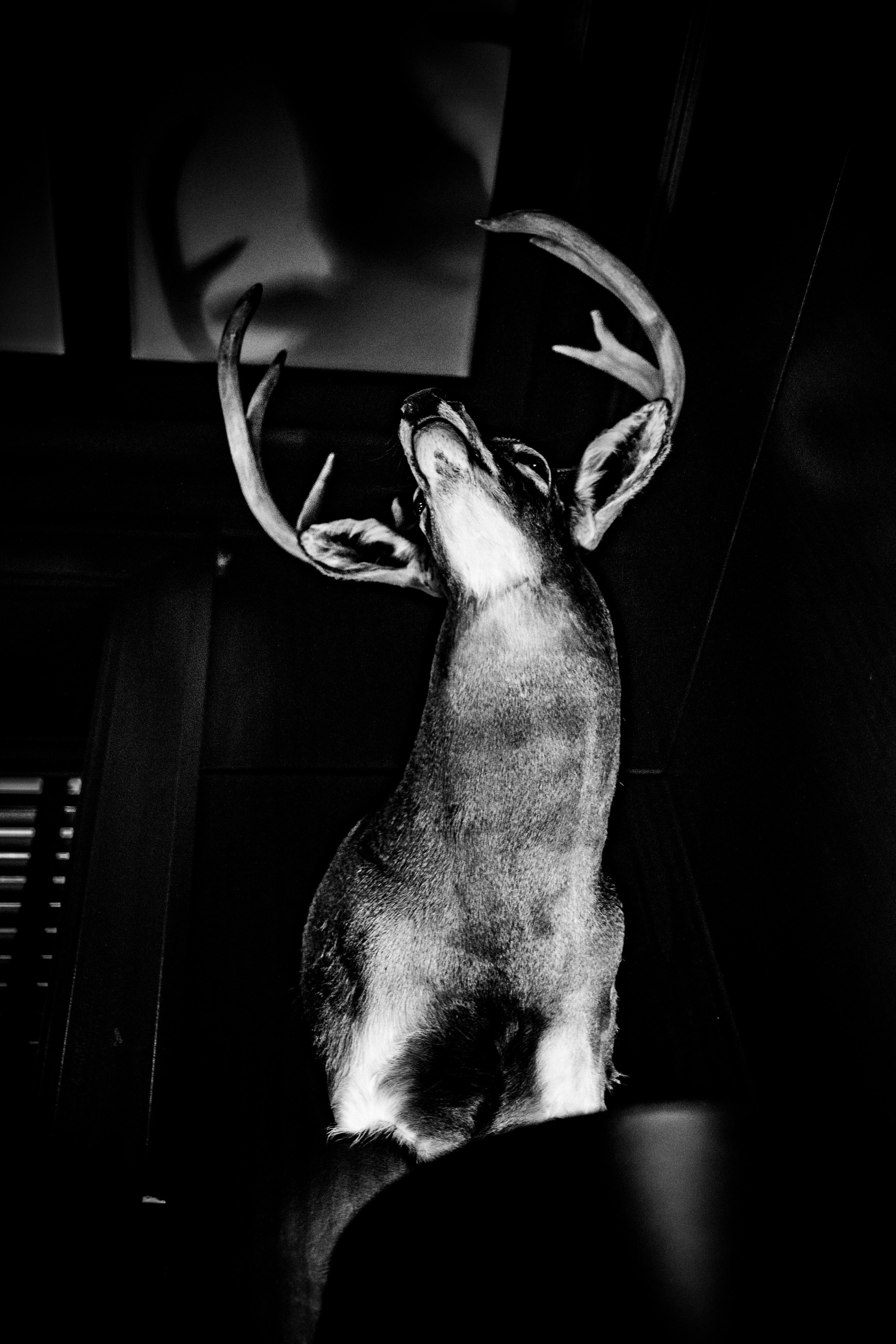 Burn Black and White Series. Out and About 239