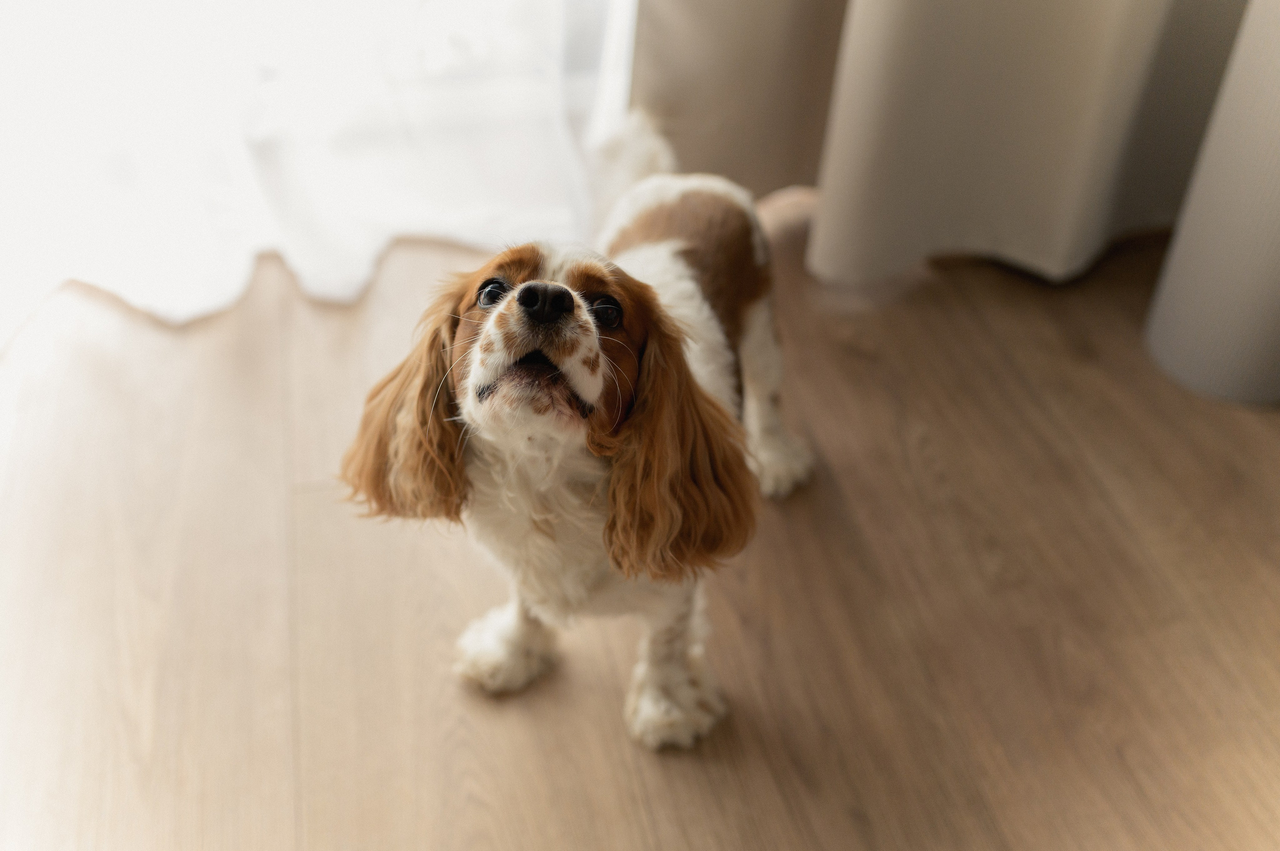 Eda, 2025. Wedding photographer in Wroclaw Warsaw Krakow Margarita Tuleiko