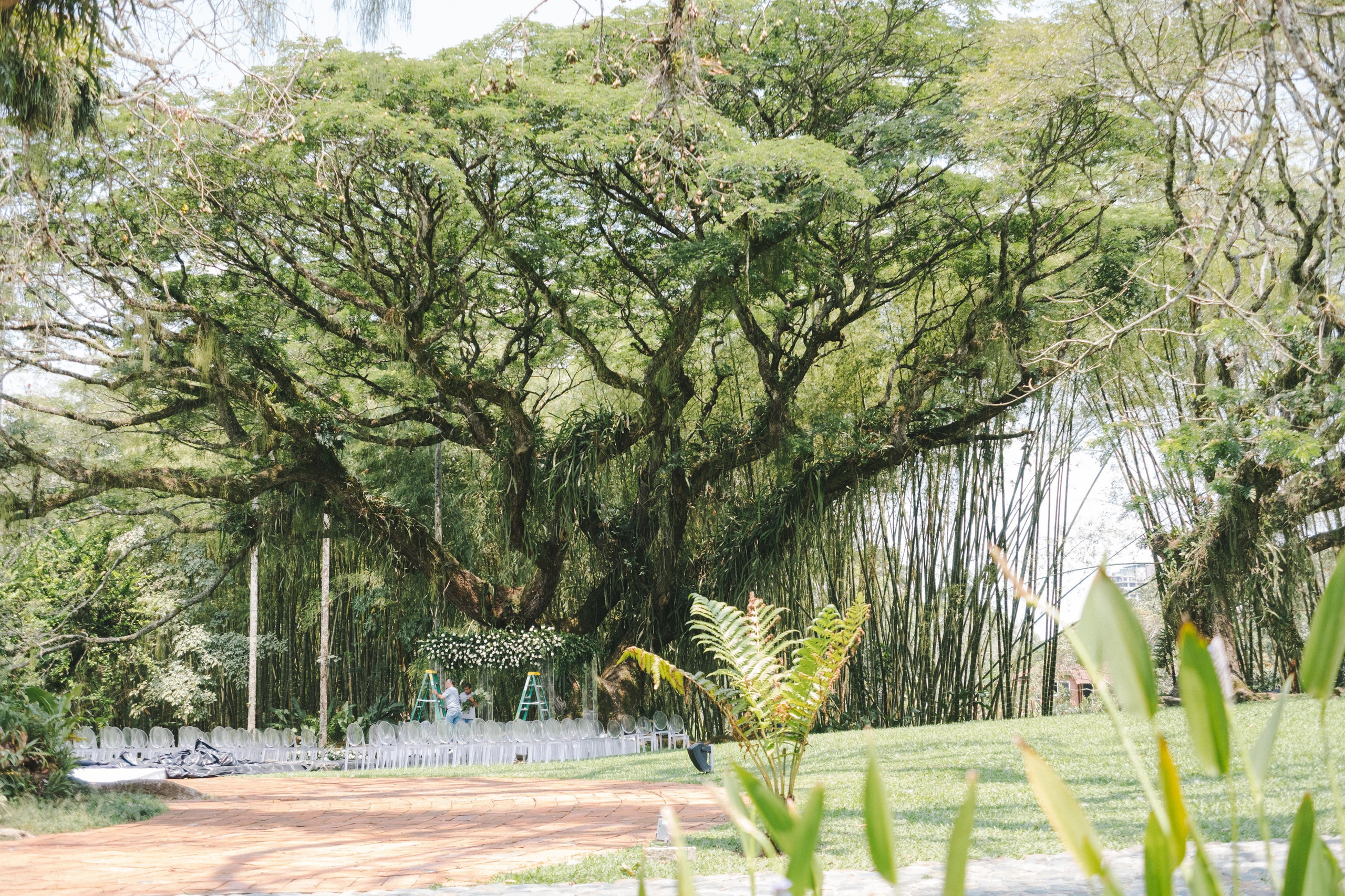 Fotografía y video de bodas en Pereira - Colombia. Rafael Melo Weddings