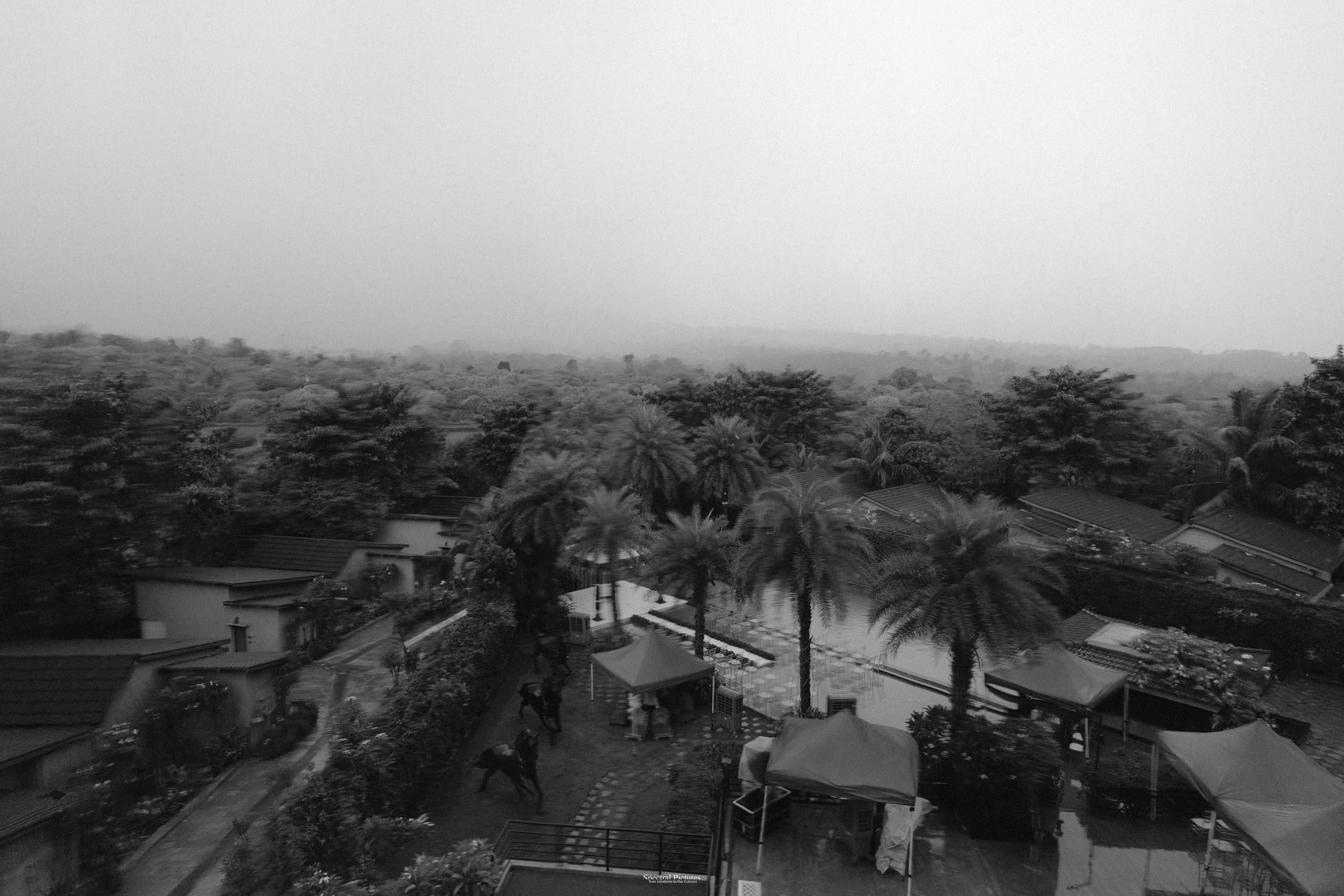 “Ankur & Malavika | Two States, One Soul”