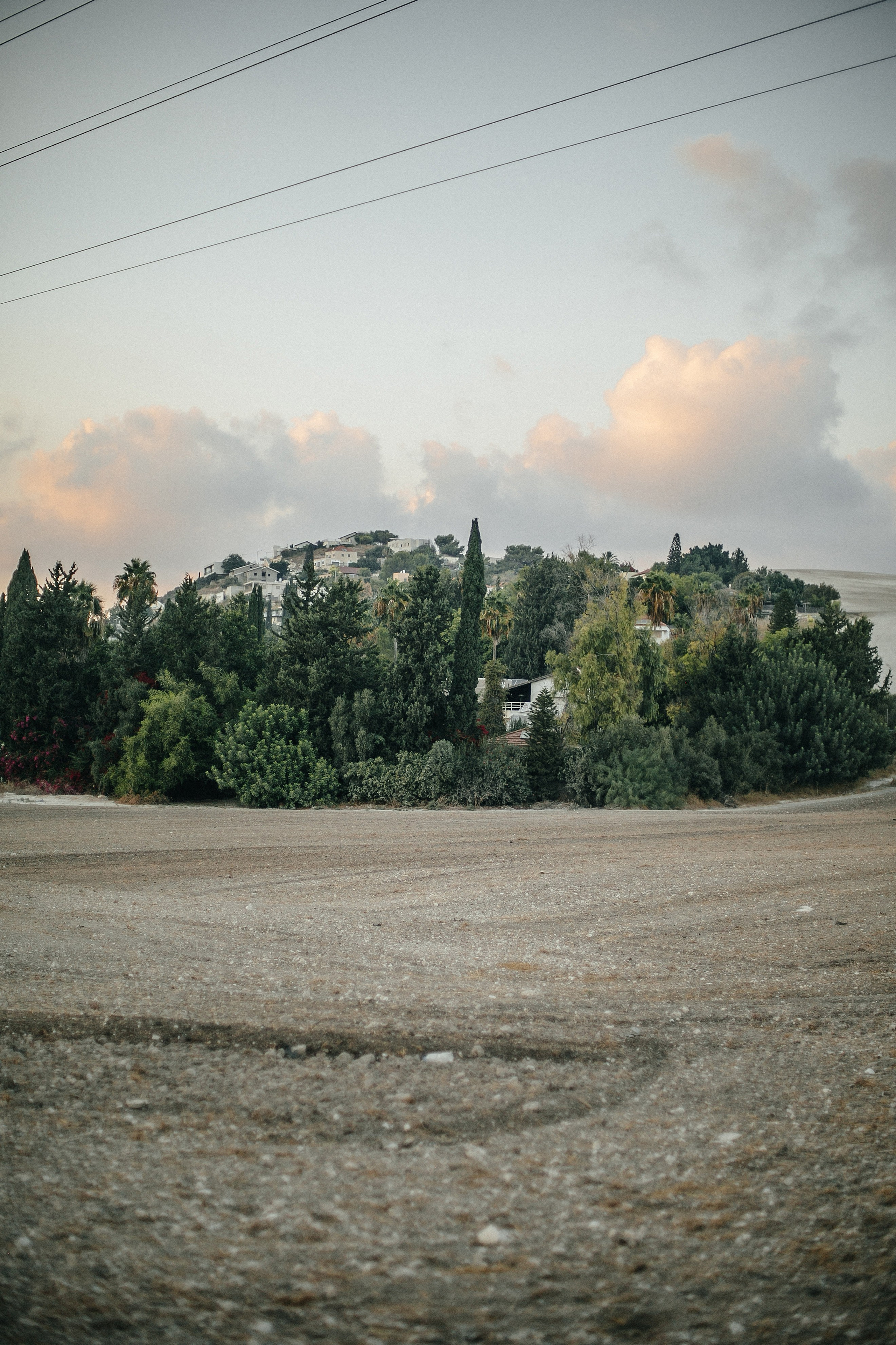 Kiryat Tivon field. Family photographer in Israel