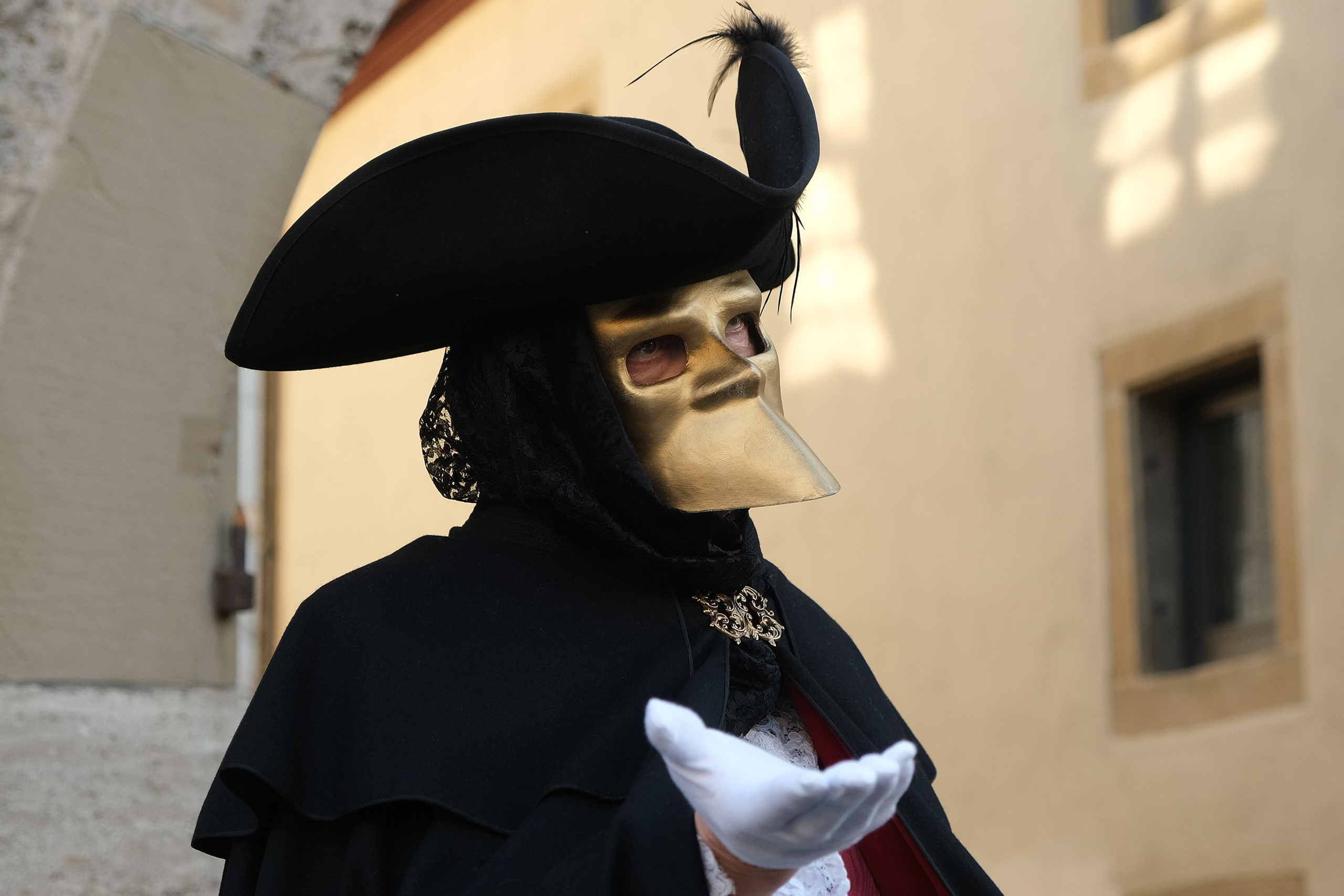 Венецианский карнавал в Германии. Elina Reisen. Туристическое агентство в Аугсбурге