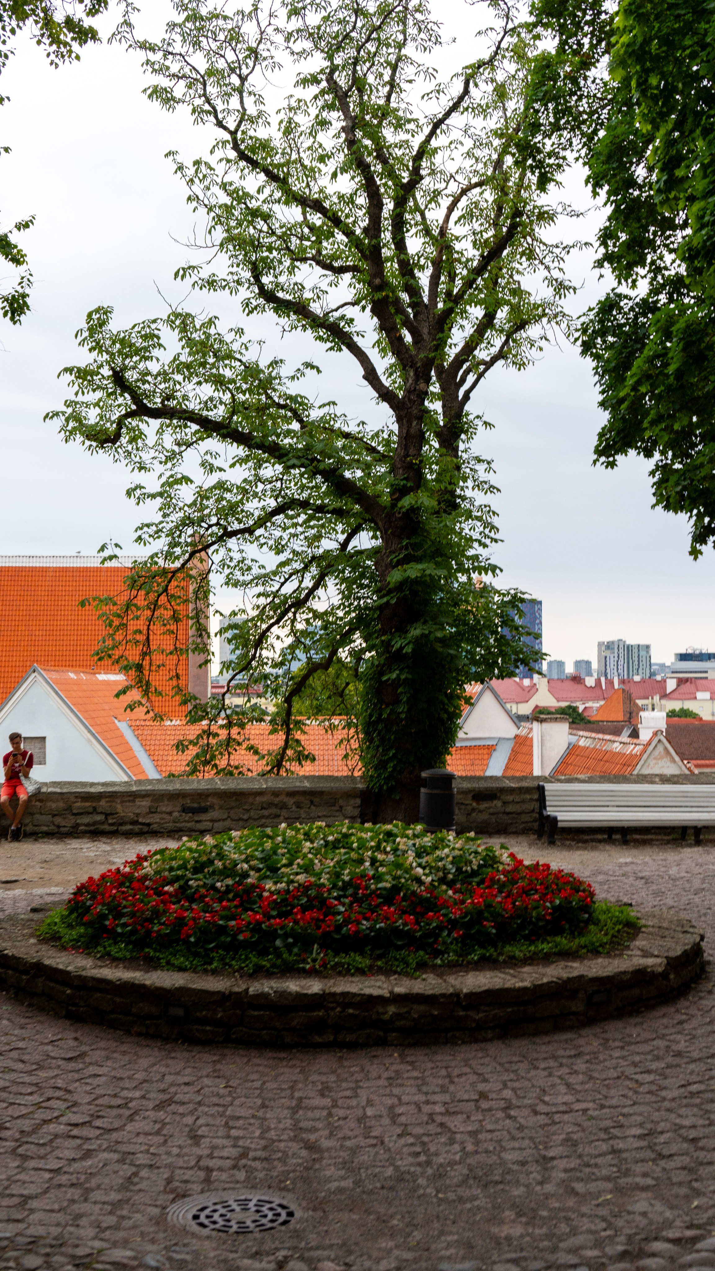 Whispers of Estonia. Photography | Videography | Marketing