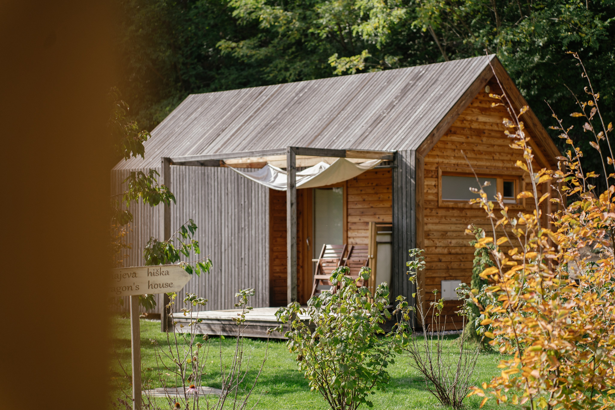 Airbnb. Patricia Morenci — Mountain Adventures for the Wild at Heart