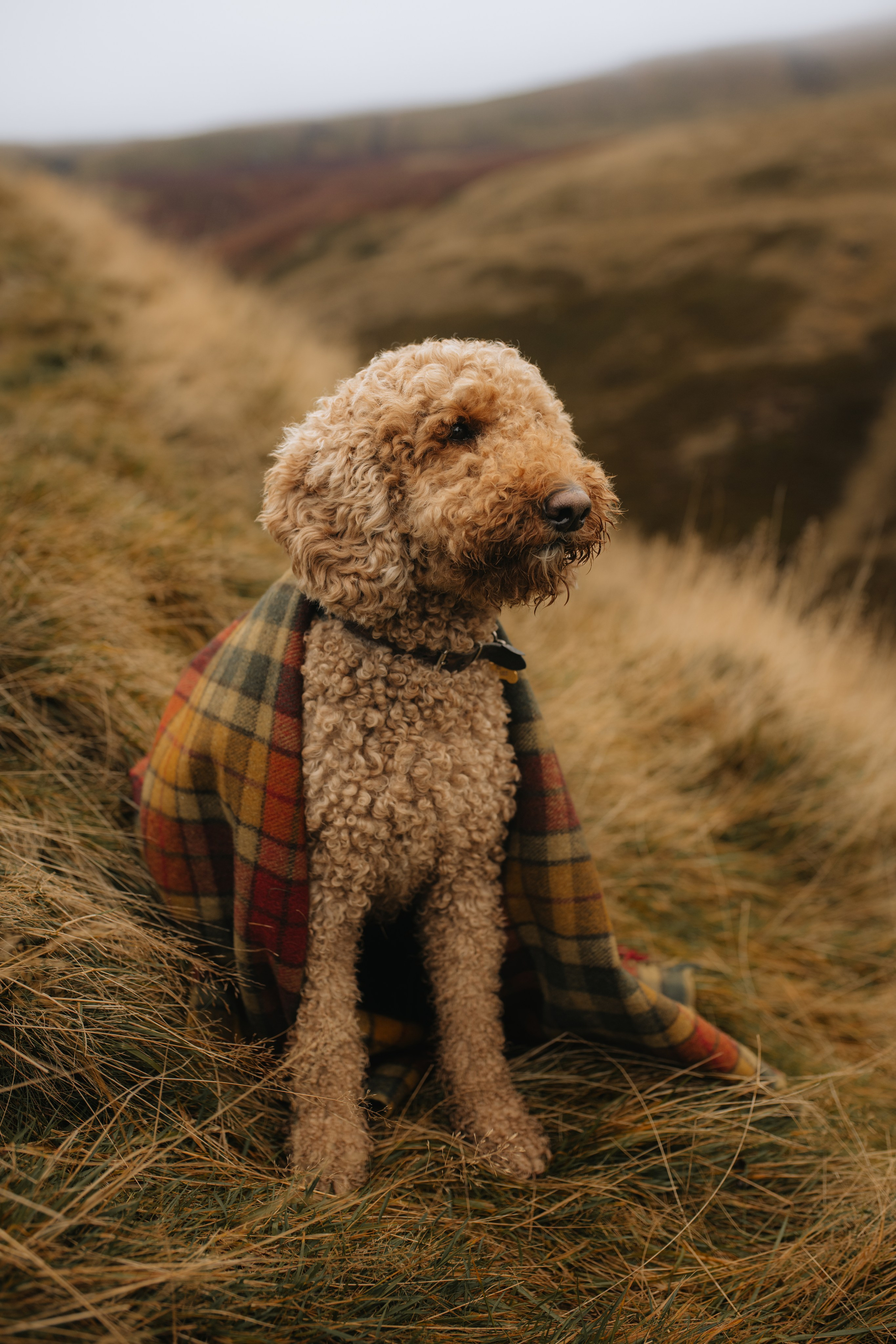 L & C in Peak District. Tania Gandrabur, photographer in West Midlands, England