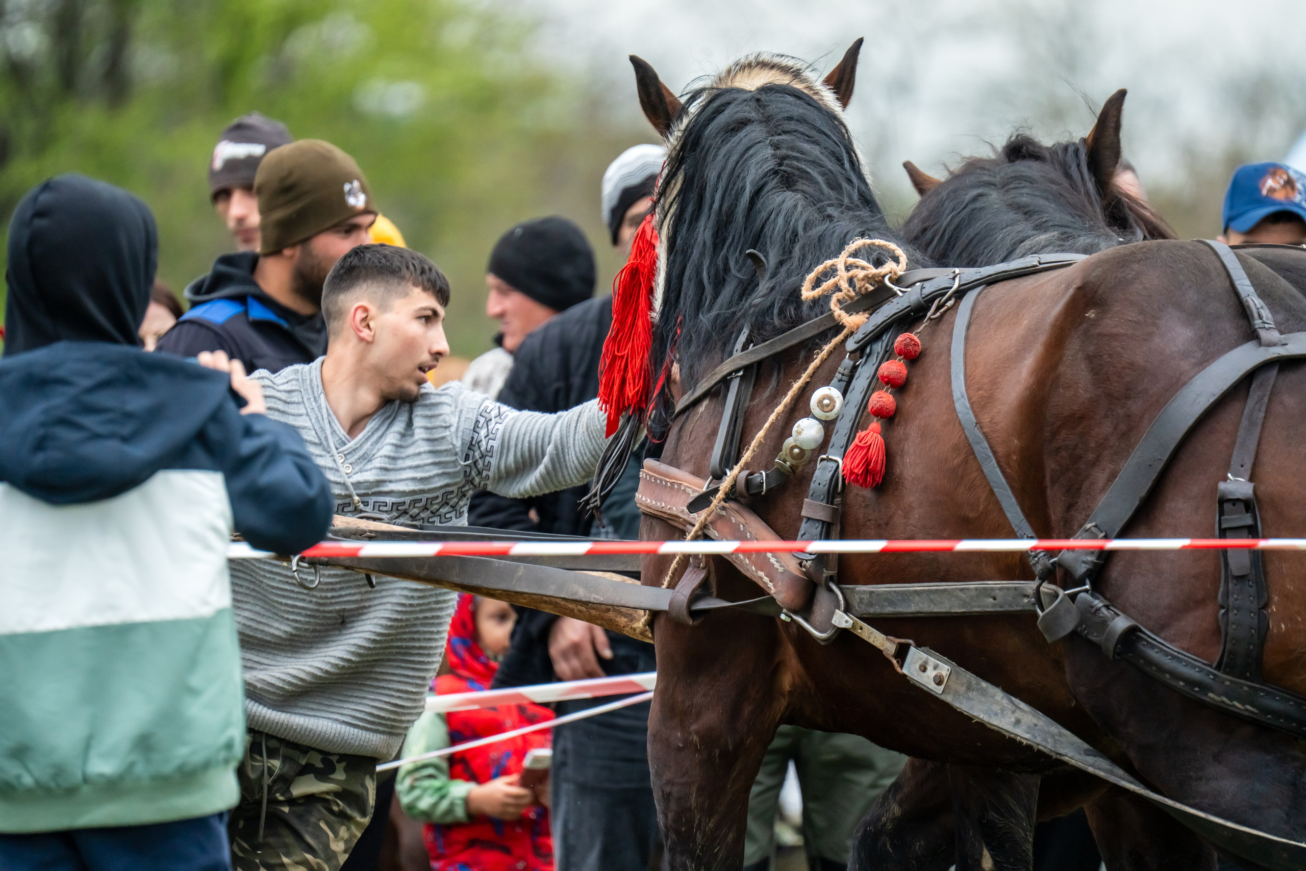 Concurs Ecvestru Vărbilău ediția a 4-a. Mihai Alexandra Events