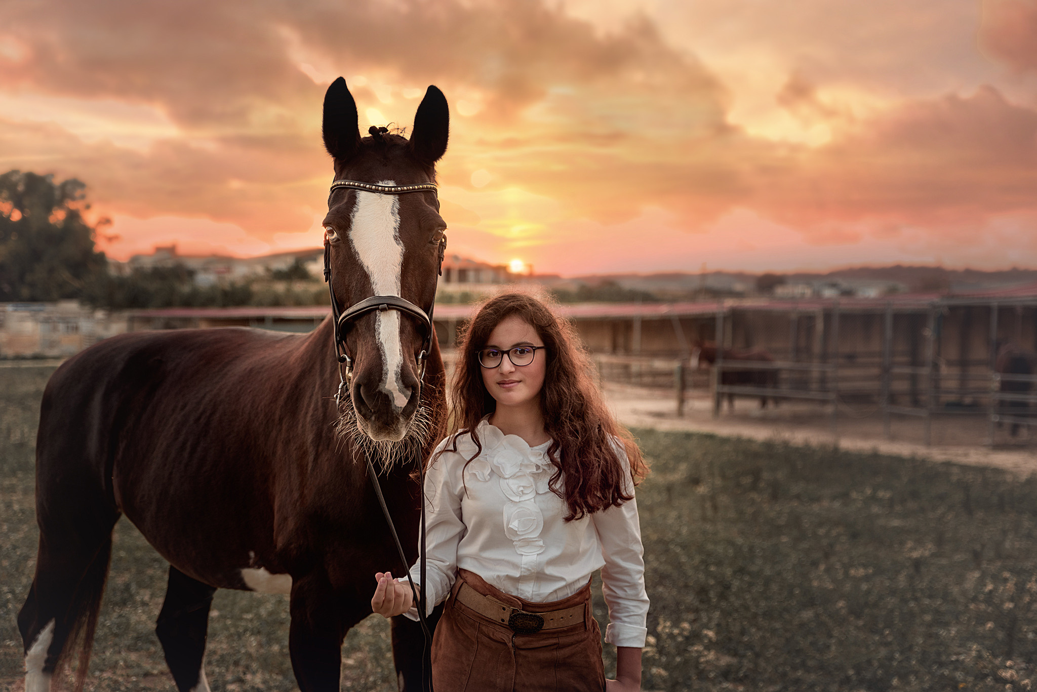 horse in the field in Malta