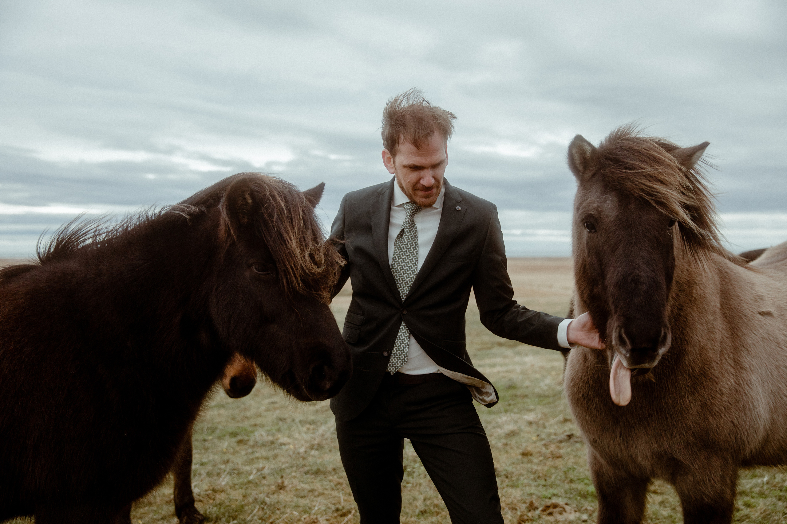 Elopement at Snaefellsnes Iceland | Wedding photos with Icelandic horses. Iceland elopement photographer & videographer