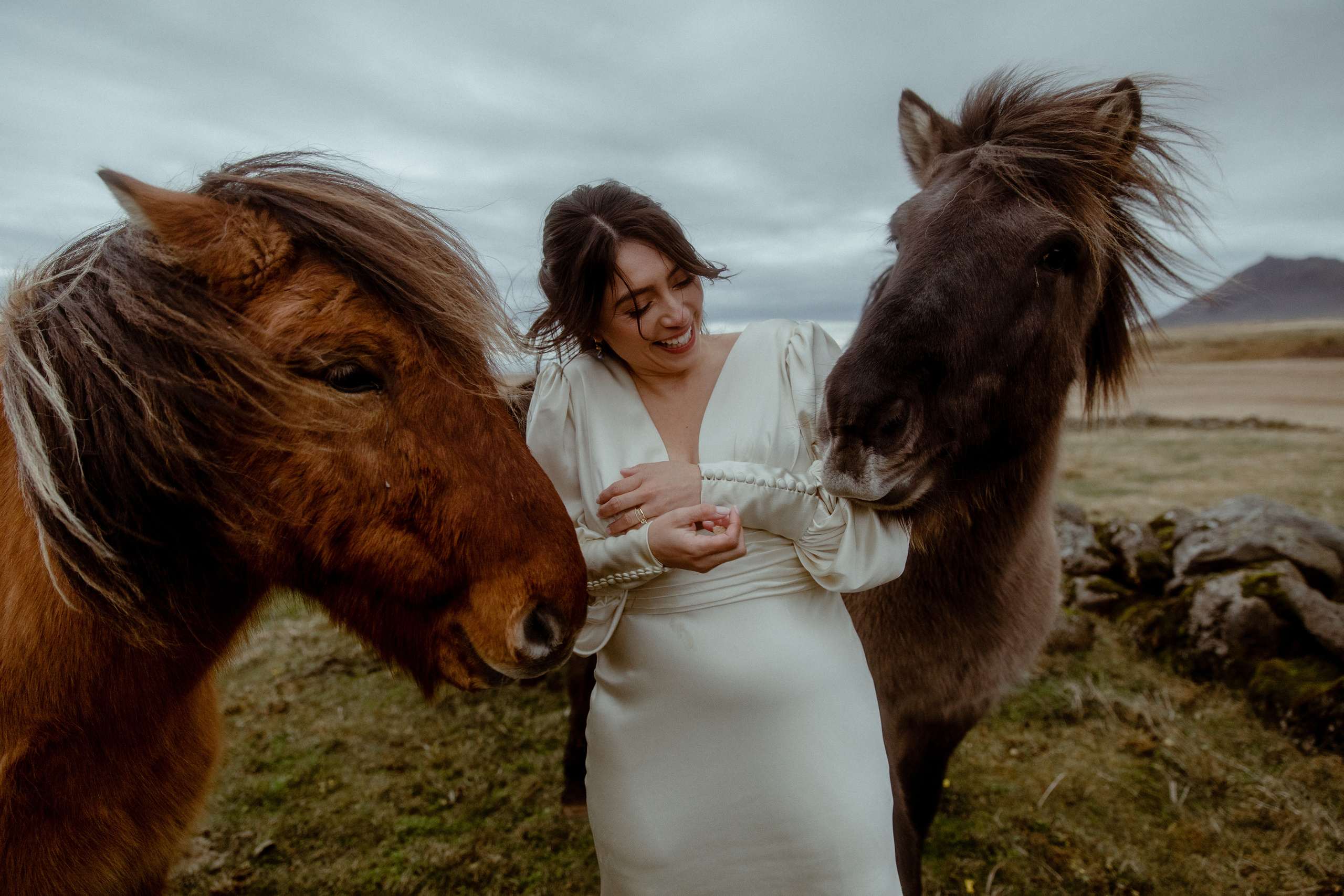 Elopement at Snaefellsnes Iceland | Wedding photos with Icelandic horses. Iceland elopement photographer & videographer