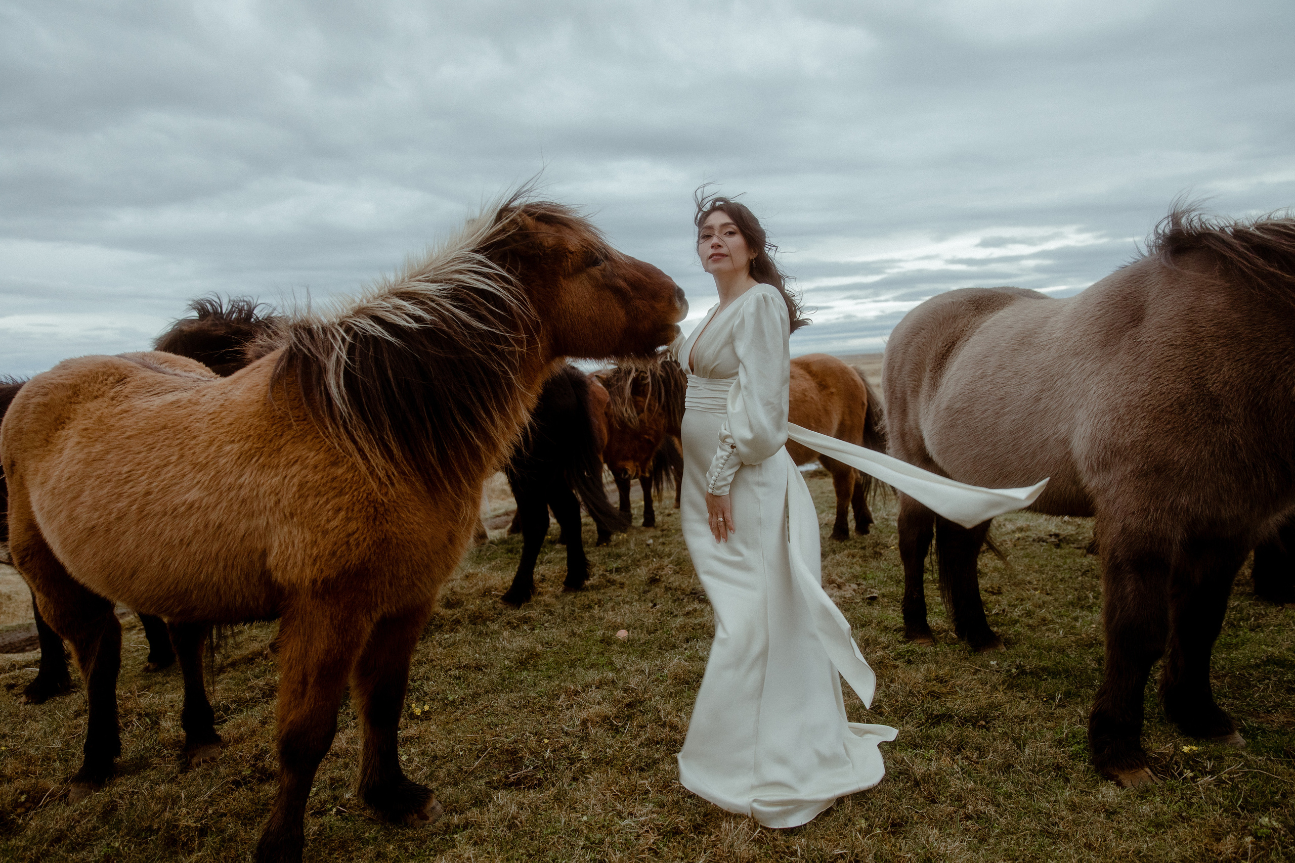 Elopement at Snaefellsnes Iceland | Wedding photos with Icelandic horses. Iceland elopement photographer & videographer