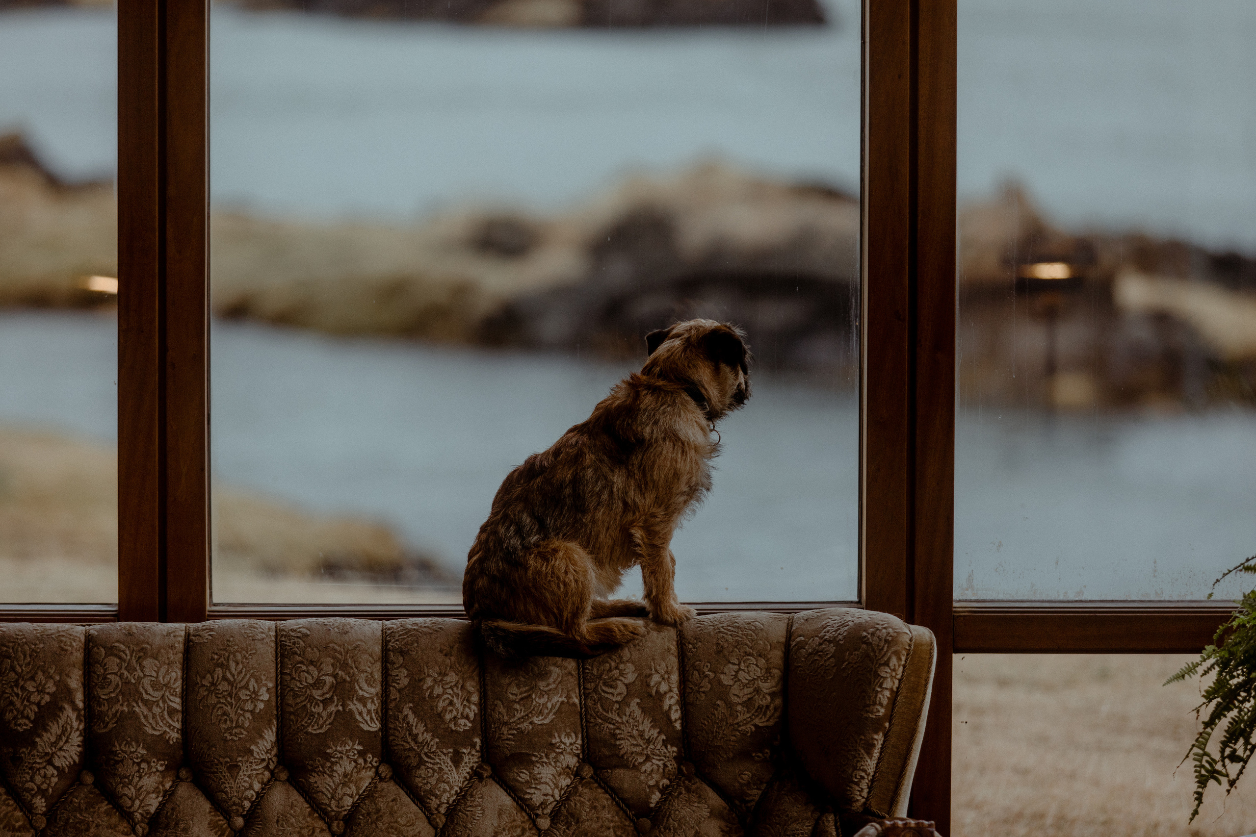 Elopement at Snaefellsnes Iceland | Wedding photos with Icelandic horses. Iceland elopement photographer & videographer