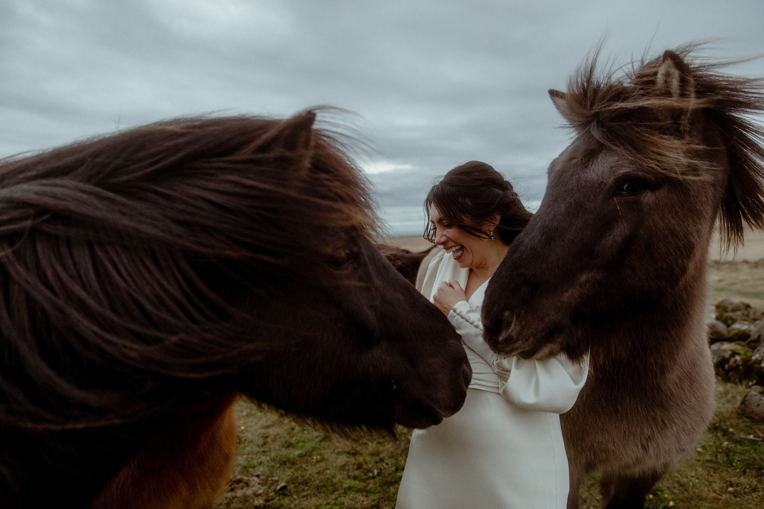 Elopement at Snaefellsnes Iceland | Wedding photos with Icelandic horses. Iceland elopement photographer & videographer