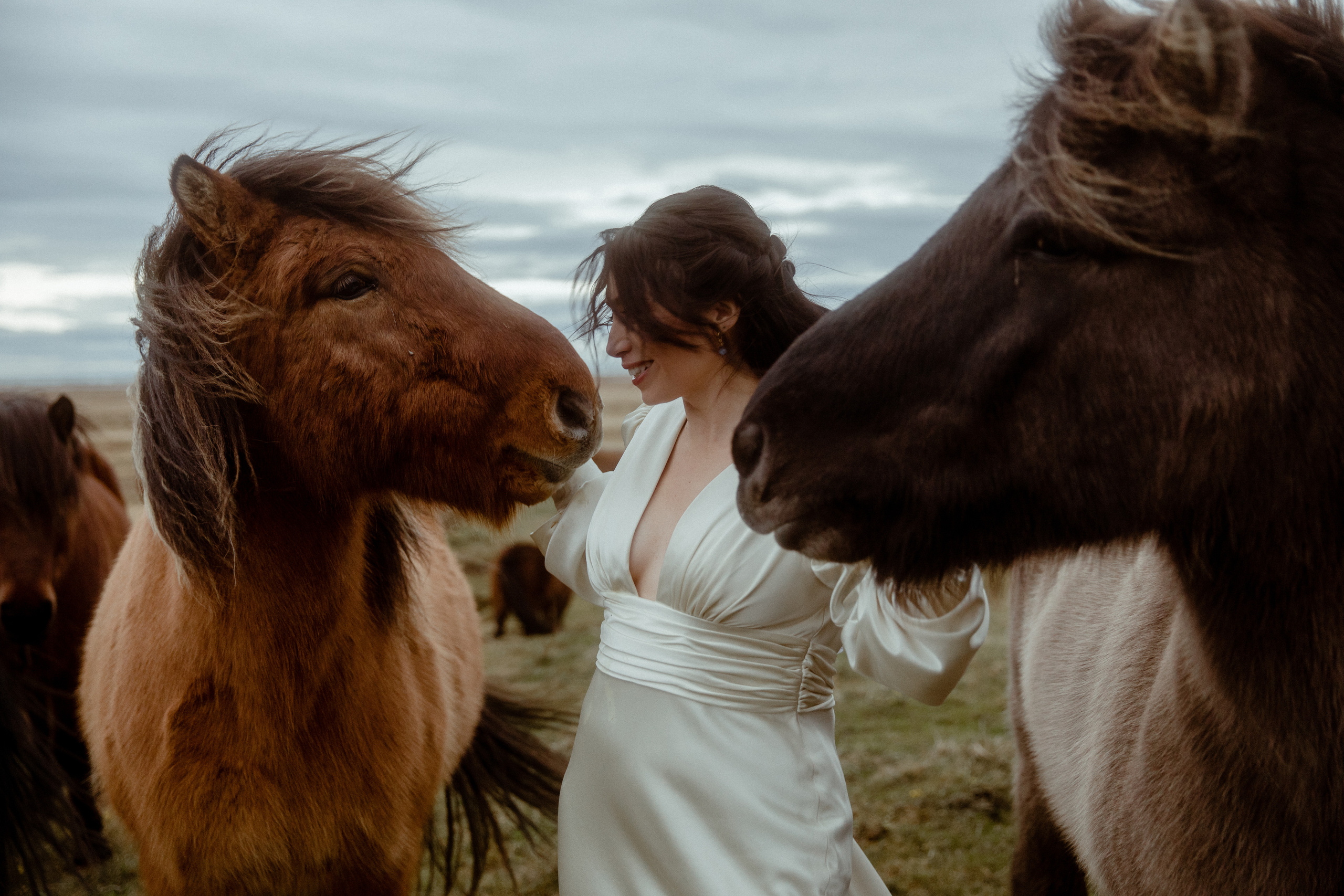 Elopement at Snaefellsnes Iceland | Wedding photos with Icelandic horses. Iceland elopement photographer & videographer