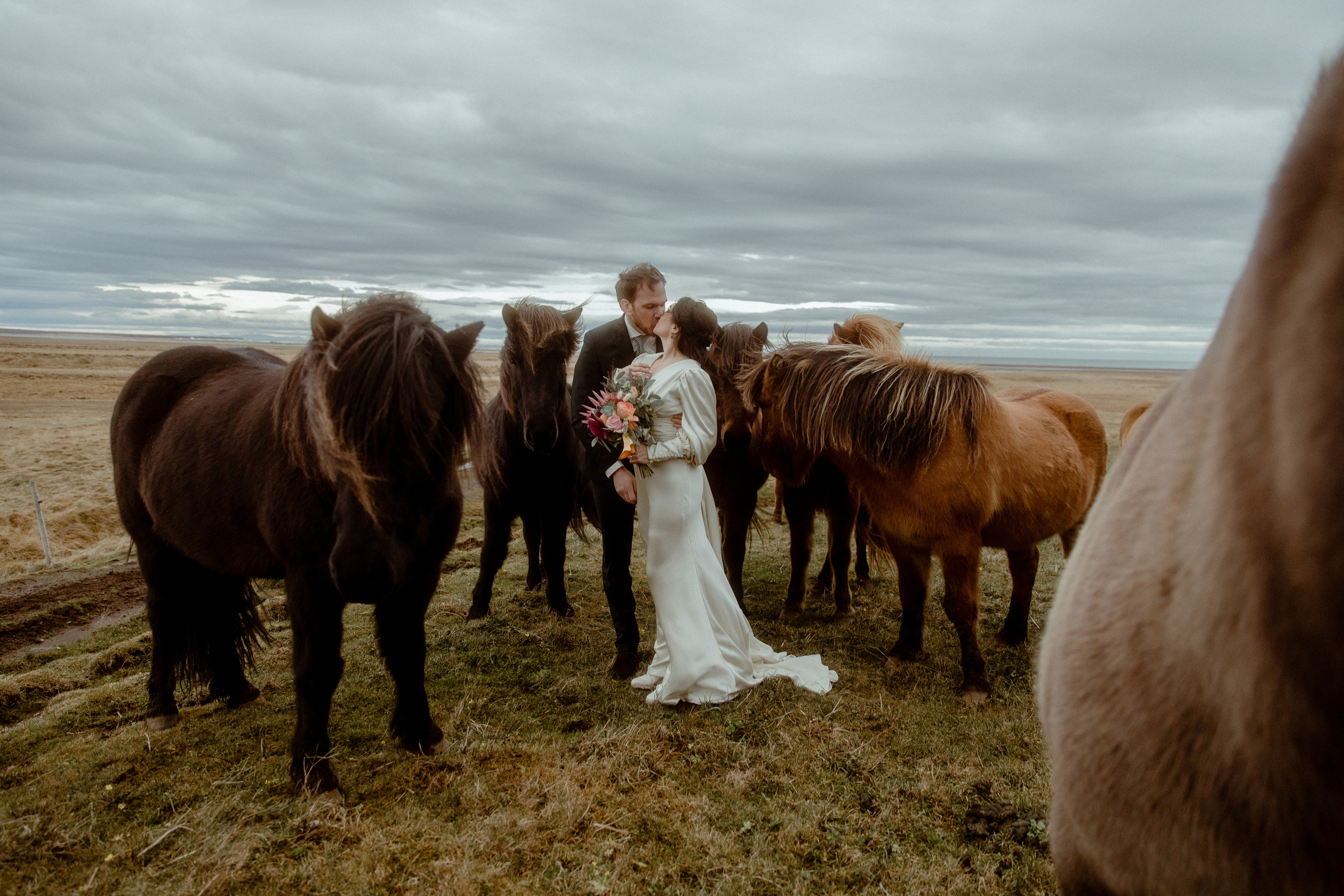 Elopement at Snaefellsnes Iceland | Wedding photos with Icelandic horses. Iceland elopement photographer & videographer