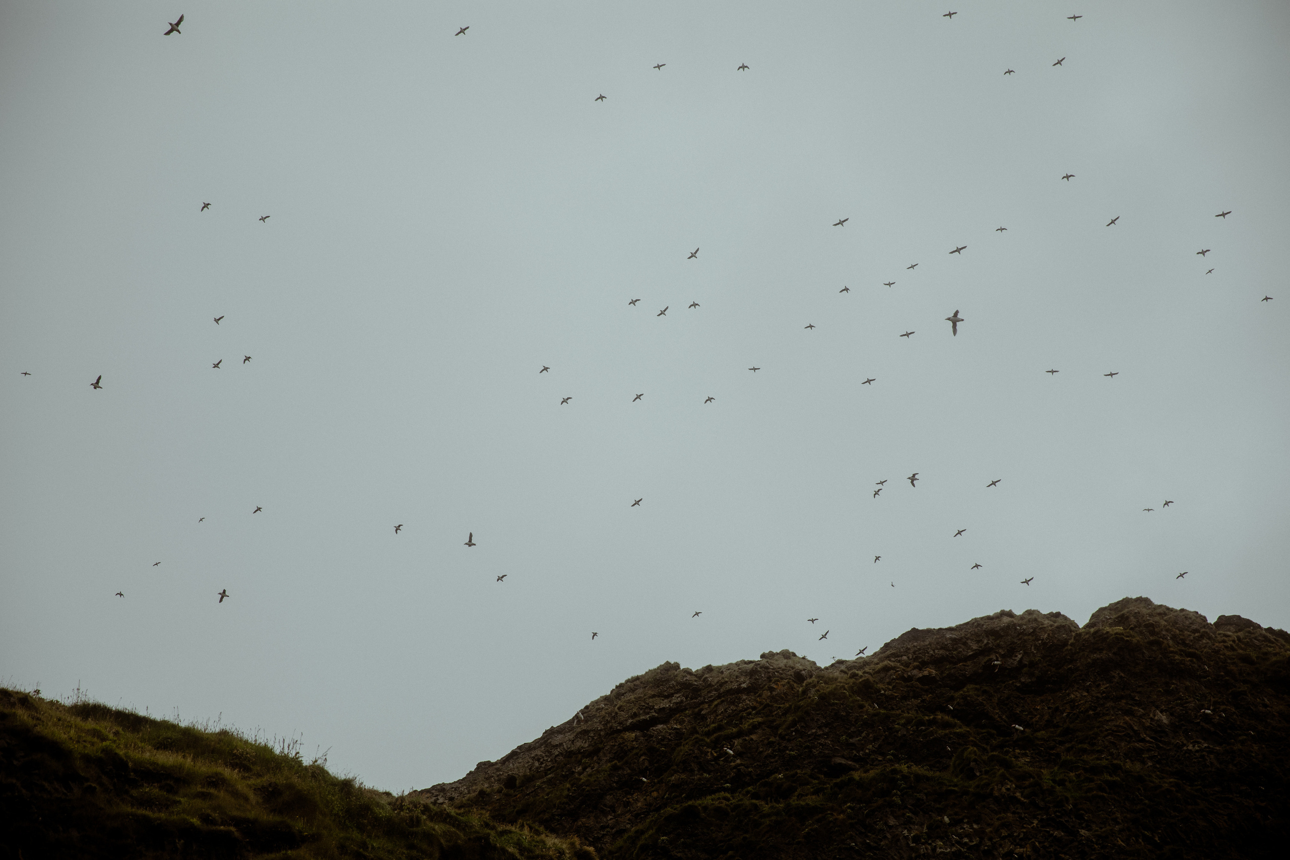 Engagement photoshoot in South Iceland. Iceland elopement photographer & videographer