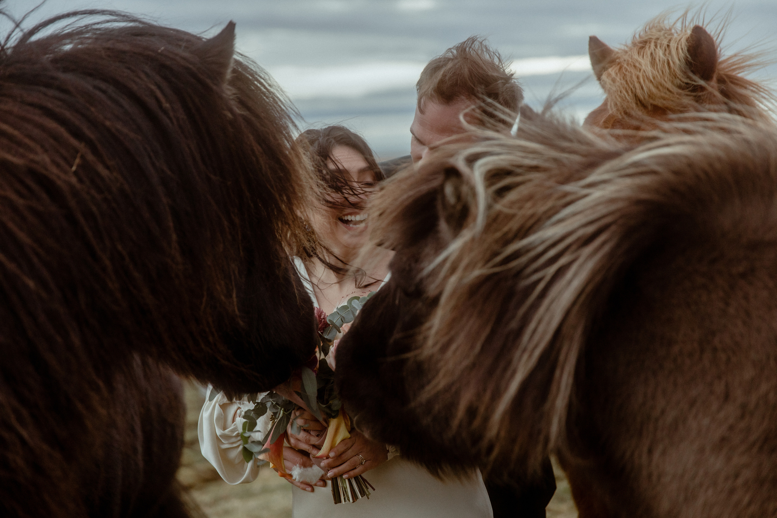 Elopement at Snaefellsnes Iceland | Wedding photos with Icelandic horses. Iceland elopement photographer & videographer