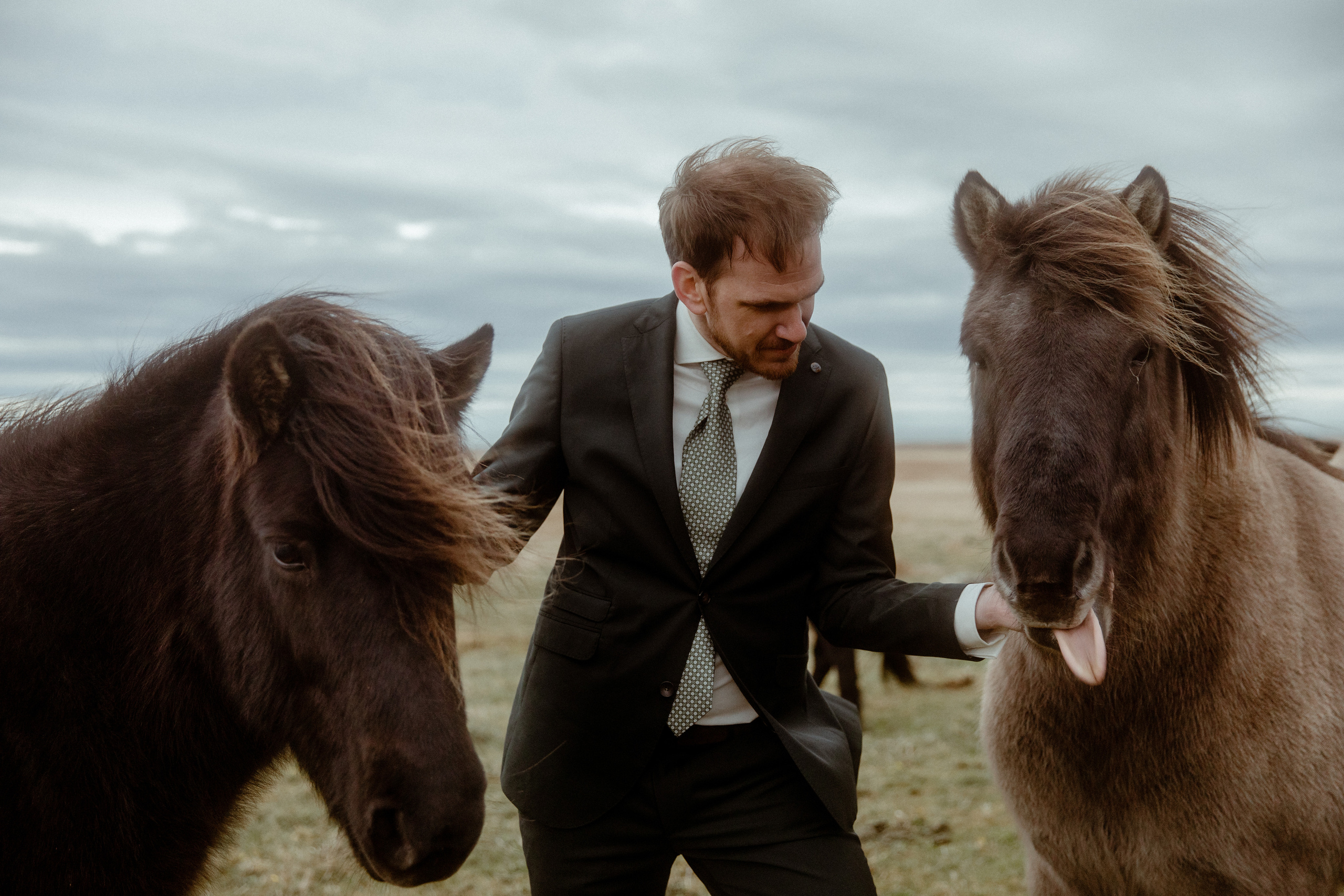 Elopement at Snaefellsnes Iceland | Wedding photos with Icelandic horses. Iceland elopement photographer & videographer