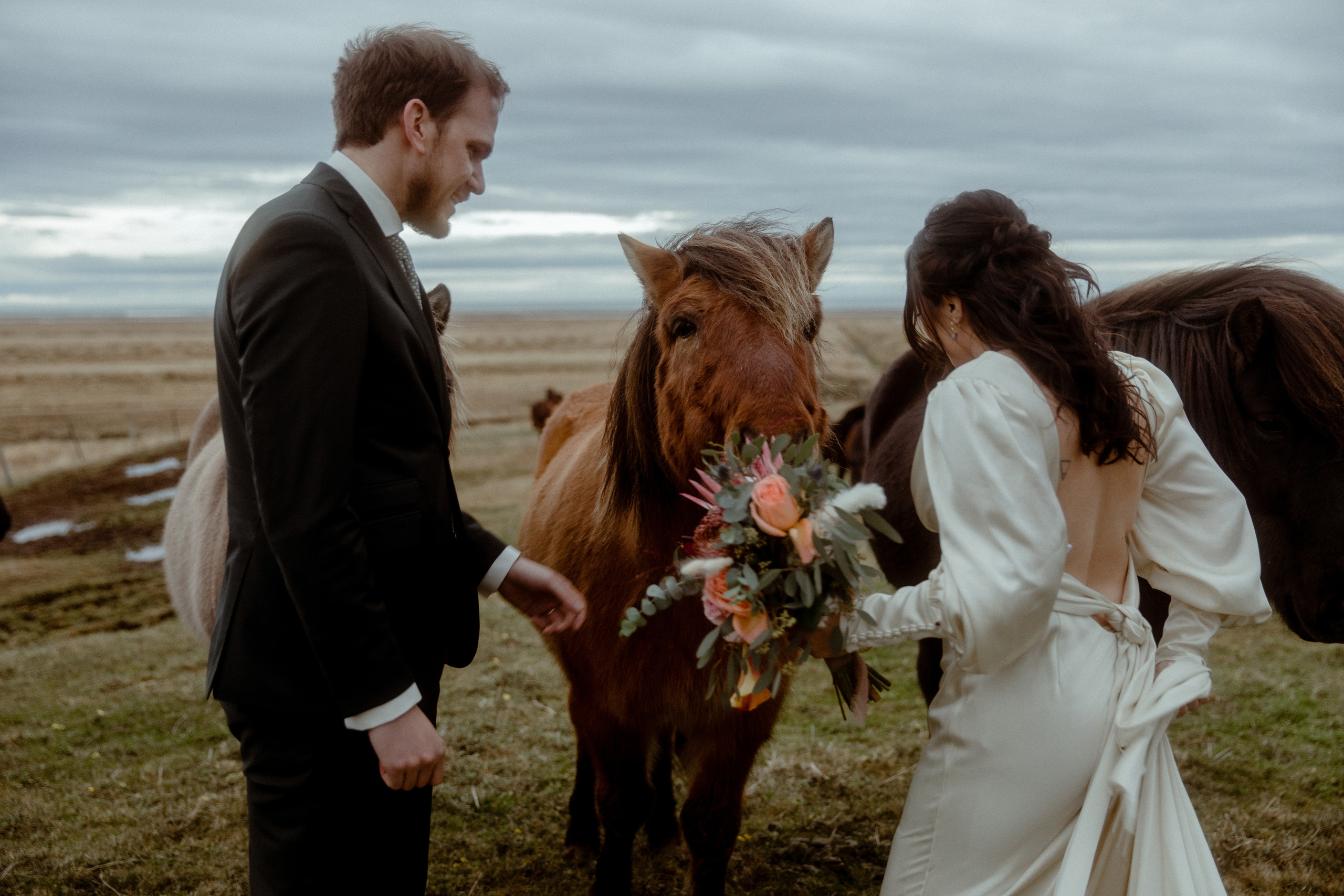 Elopement at Snaefellsnes Iceland | Wedding photos with Icelandic horses. Iceland elopement photographer & videographer