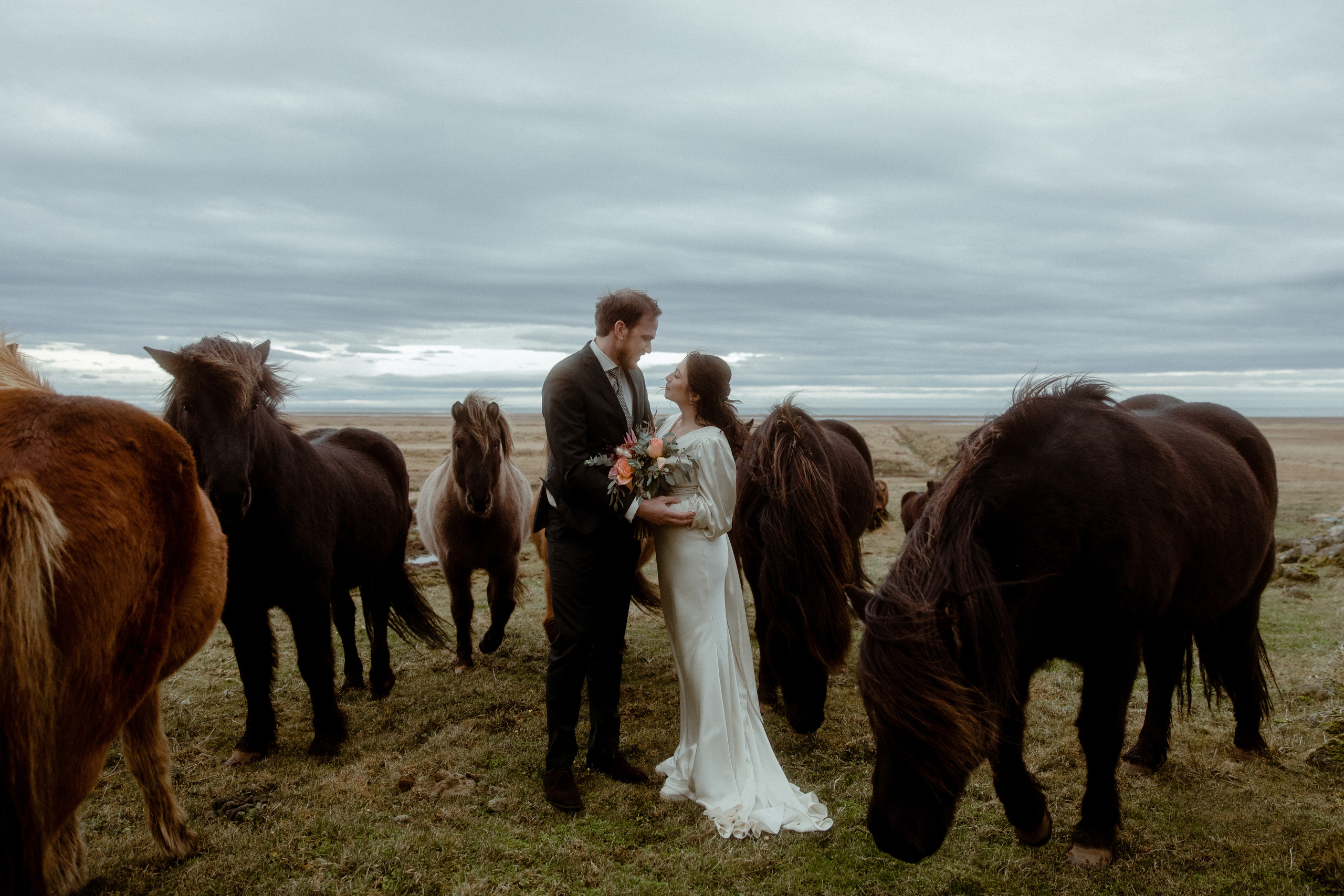 Elopement at Snaefellsnes Iceland | Wedding photos with Icelandic horses. Iceland elopement photographer & videographer