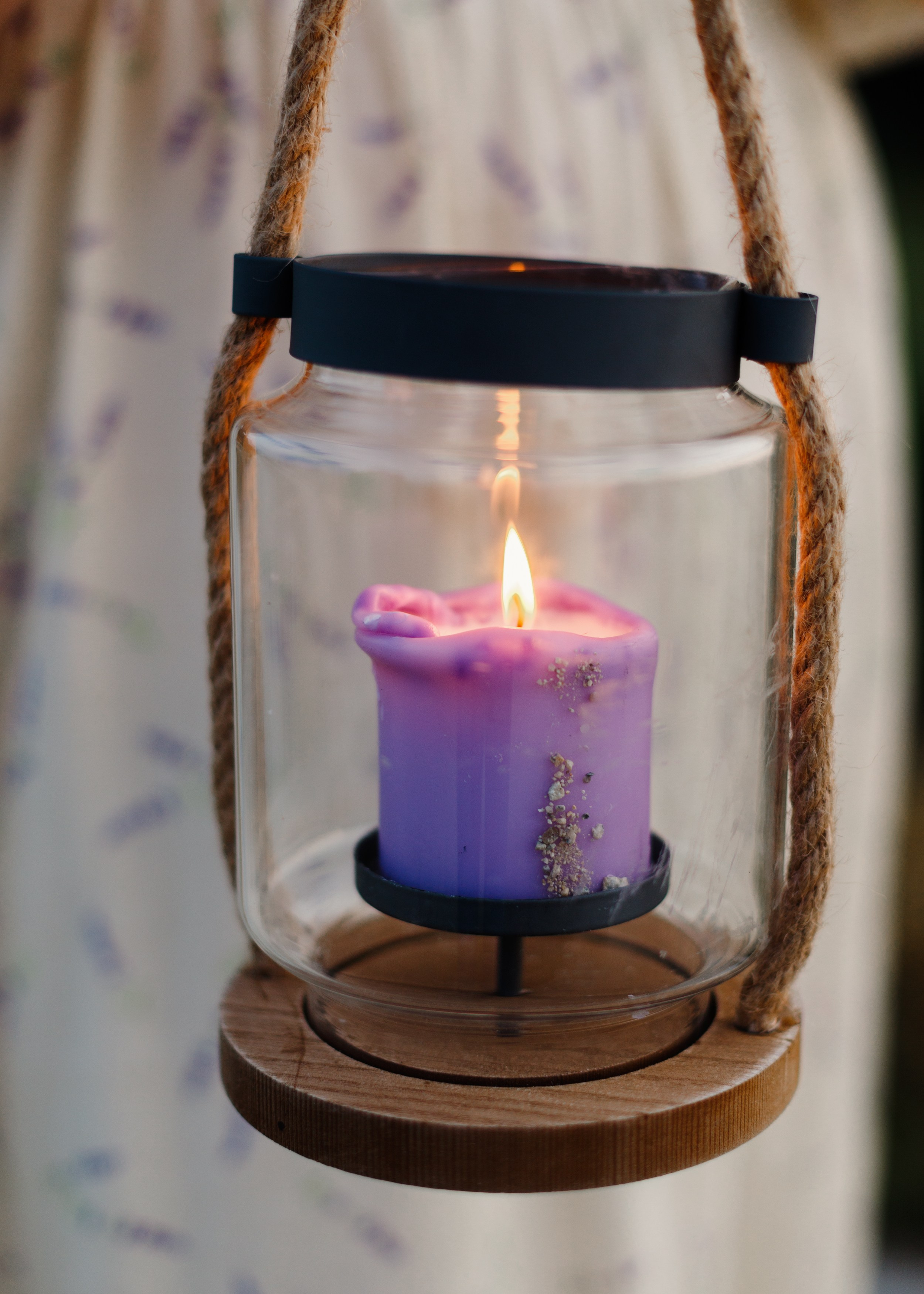 Katya in the field. Kaja | fotograf psów we Wrocławiu