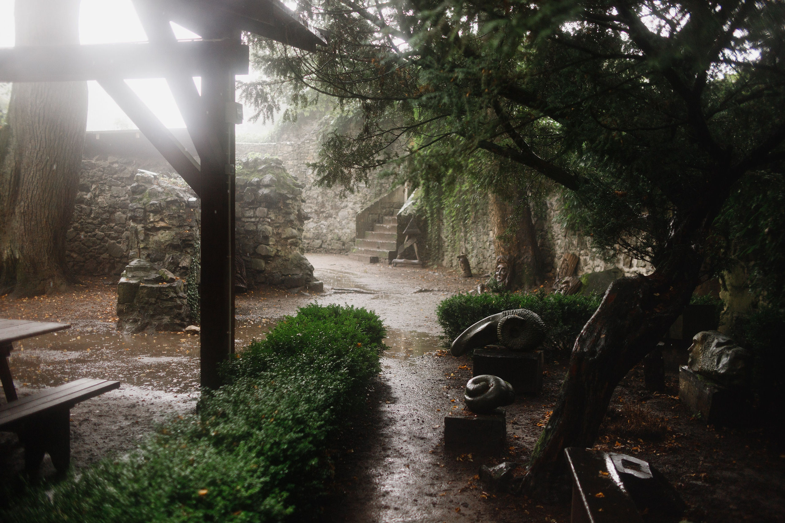Zamek Grodziec. Kaja | fotograf psów we Wrocławiu